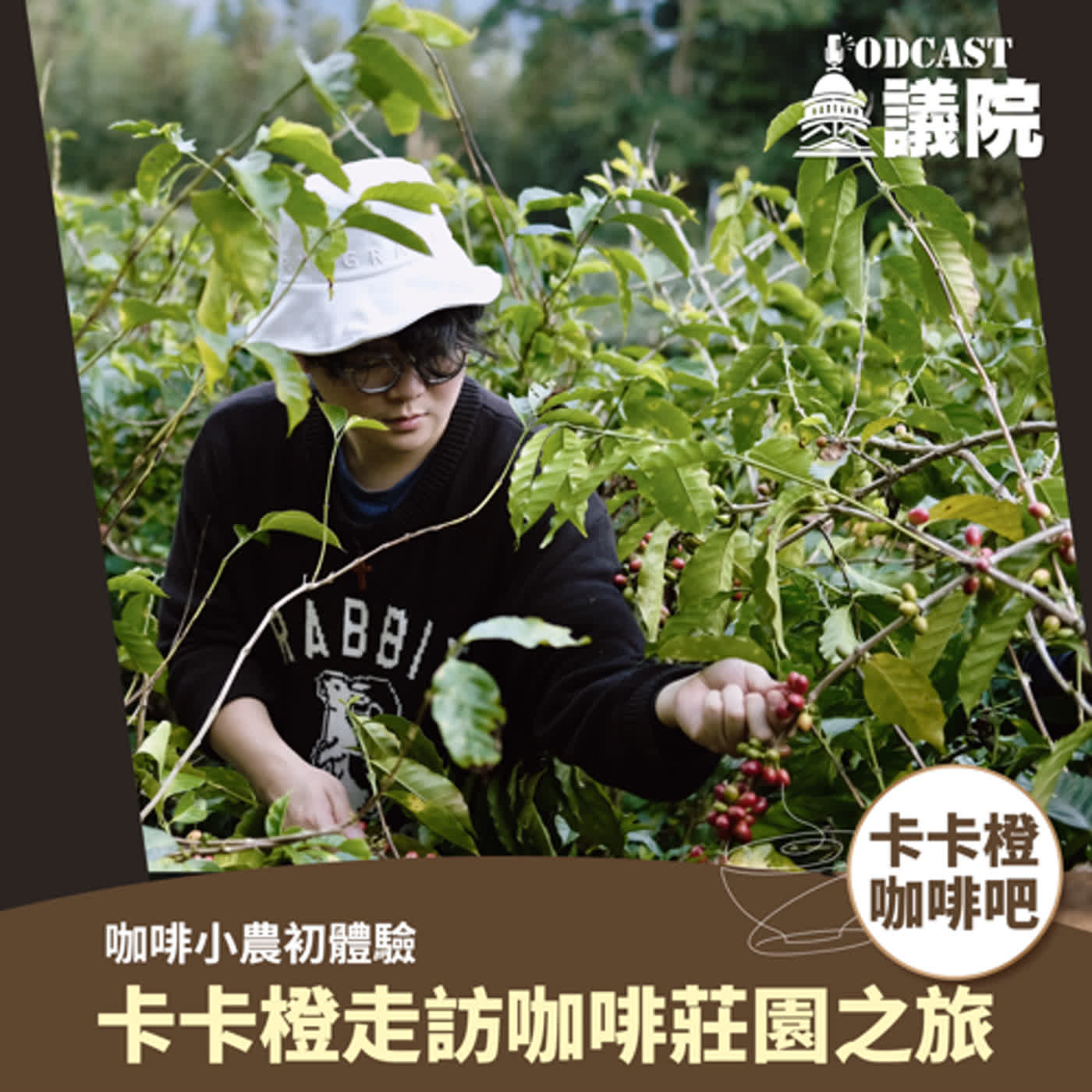 咖啡小農初體驗！卡卡橙走訪咖啡莊園之旅