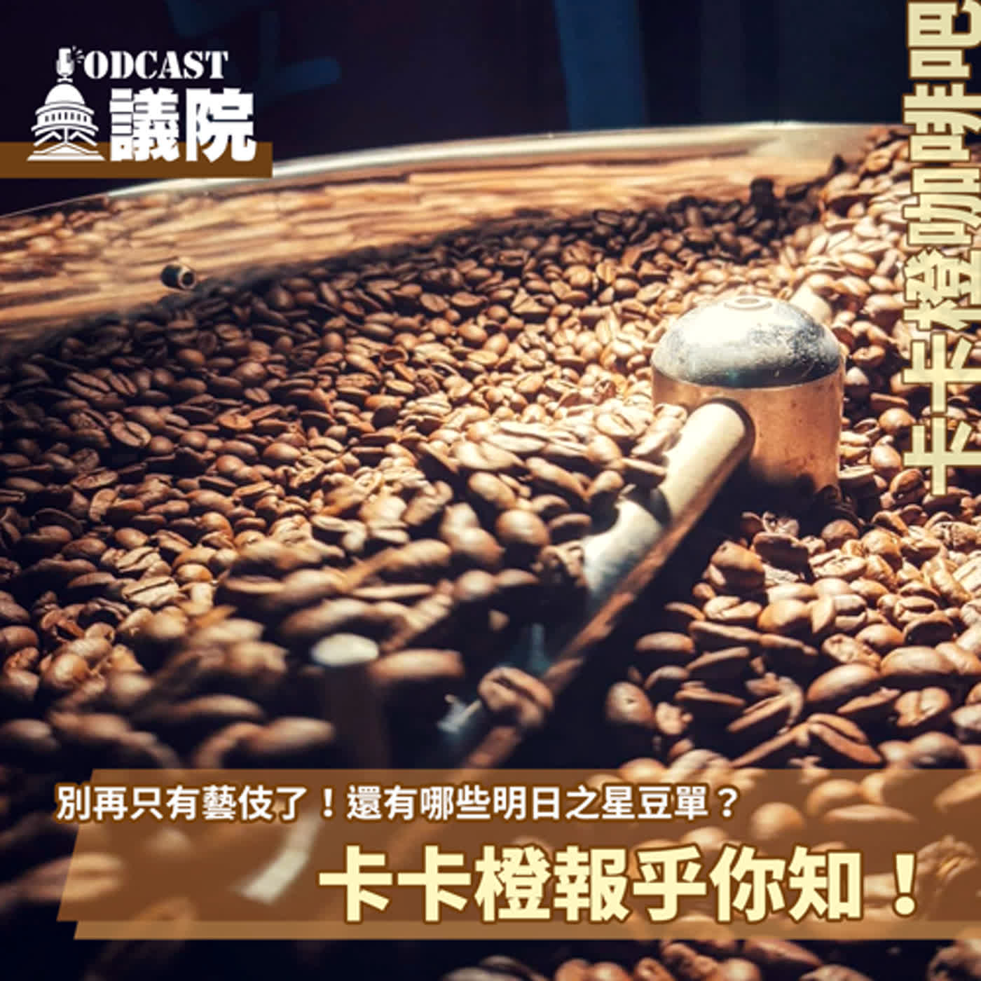 別再只有藝伎了！還有哪些明日之星豆單？卡卡橙報乎你知！