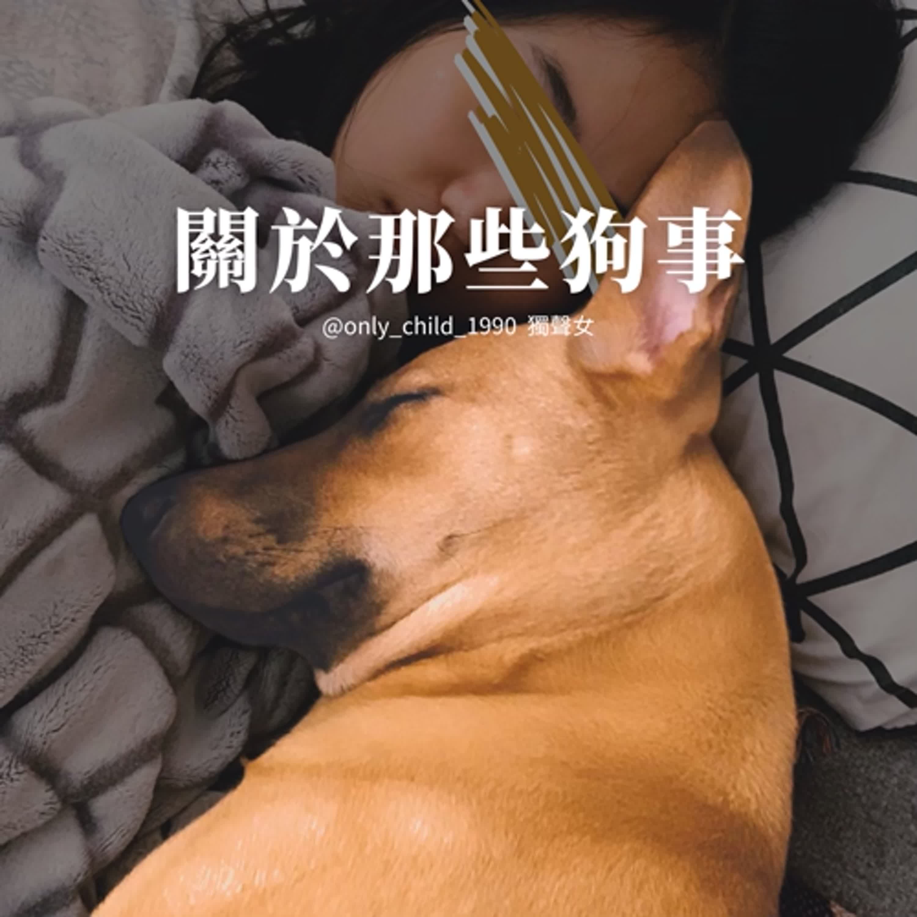EP143. 關於那些狗事