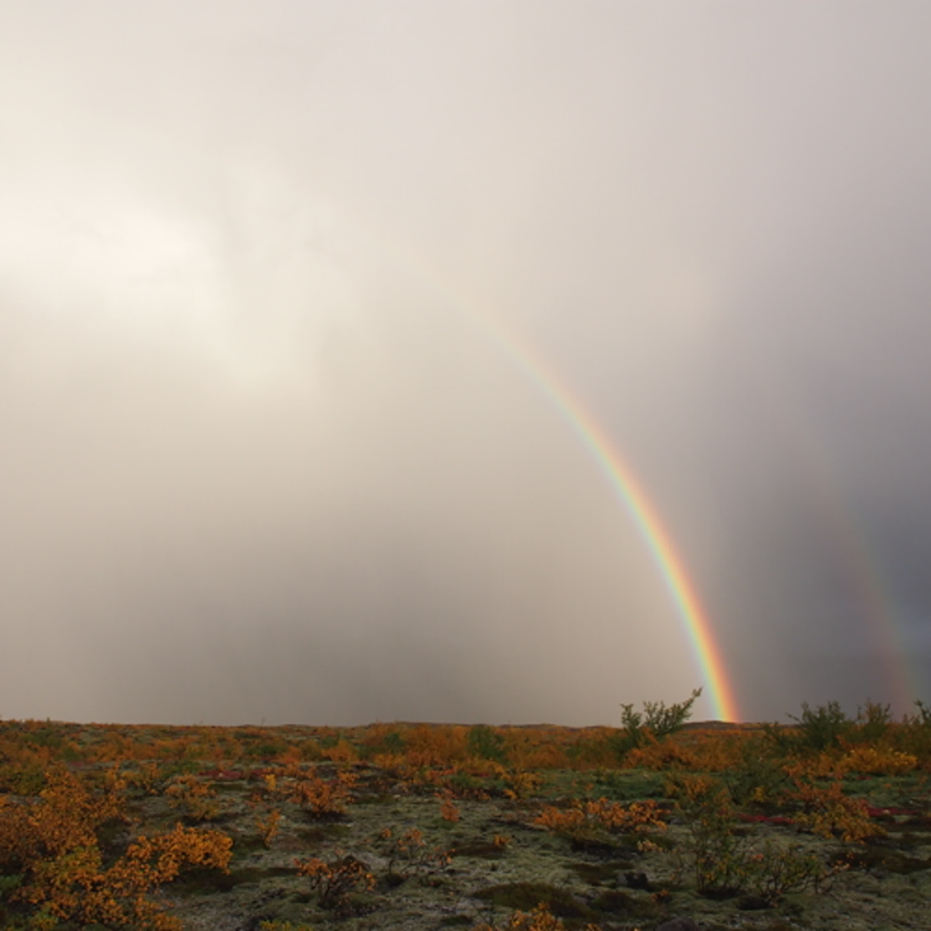EP51 無人記得的愛，就在那裡