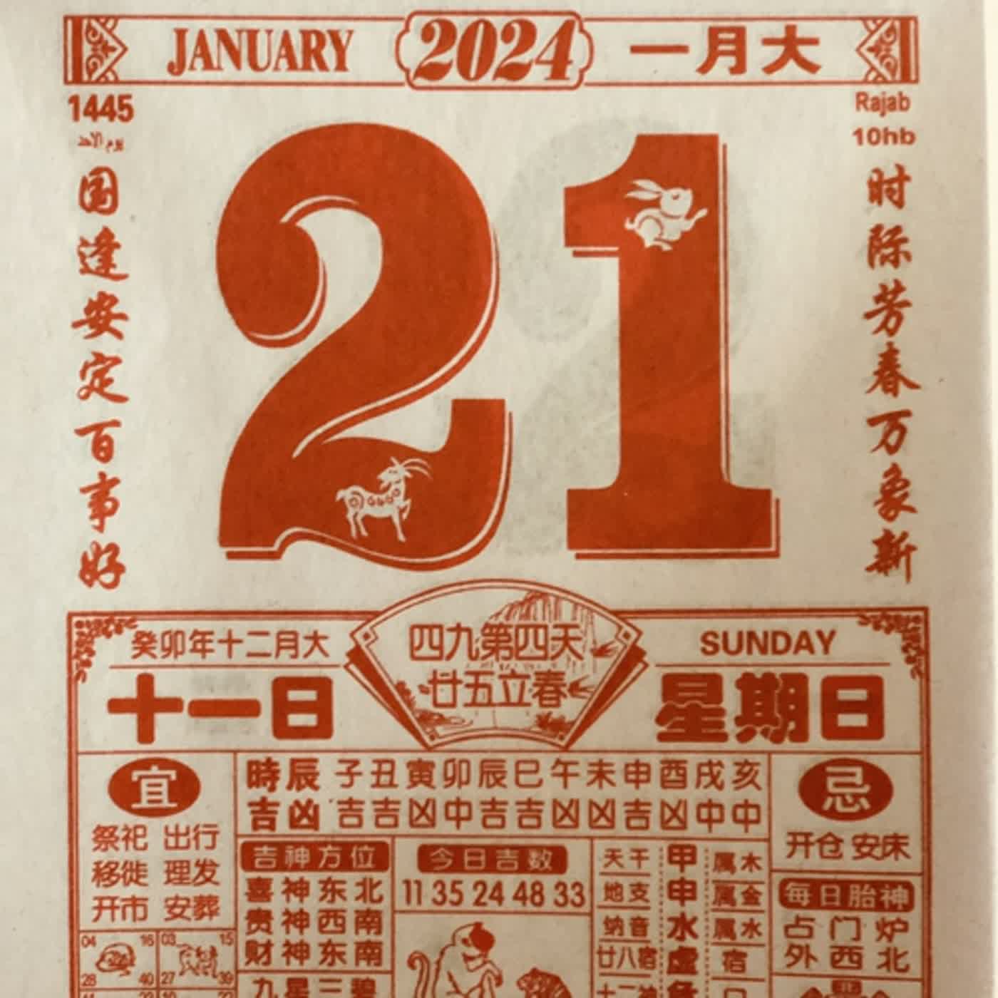 cover of episode 这一年 谢谢自己