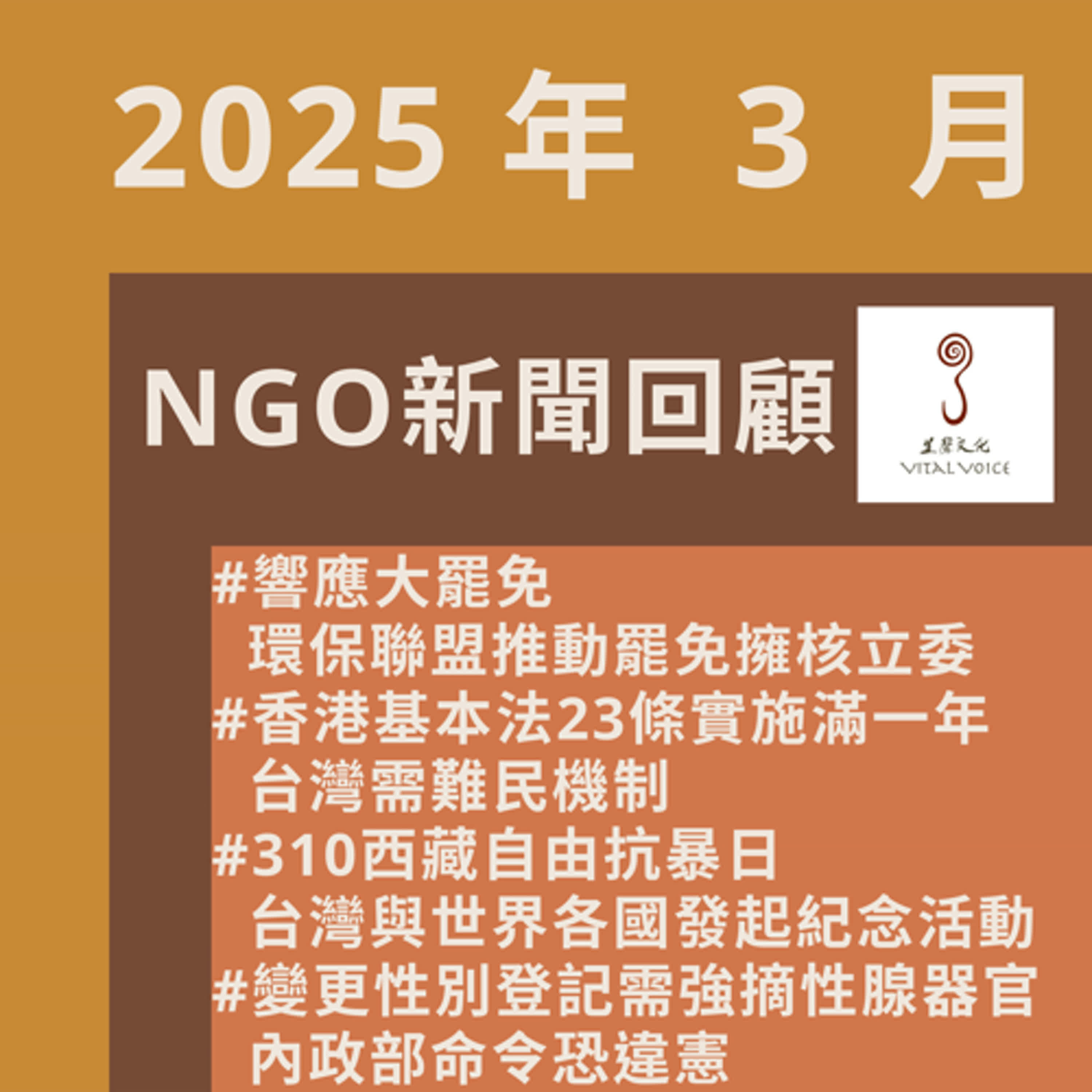 2025年3月NGO新聞回顧