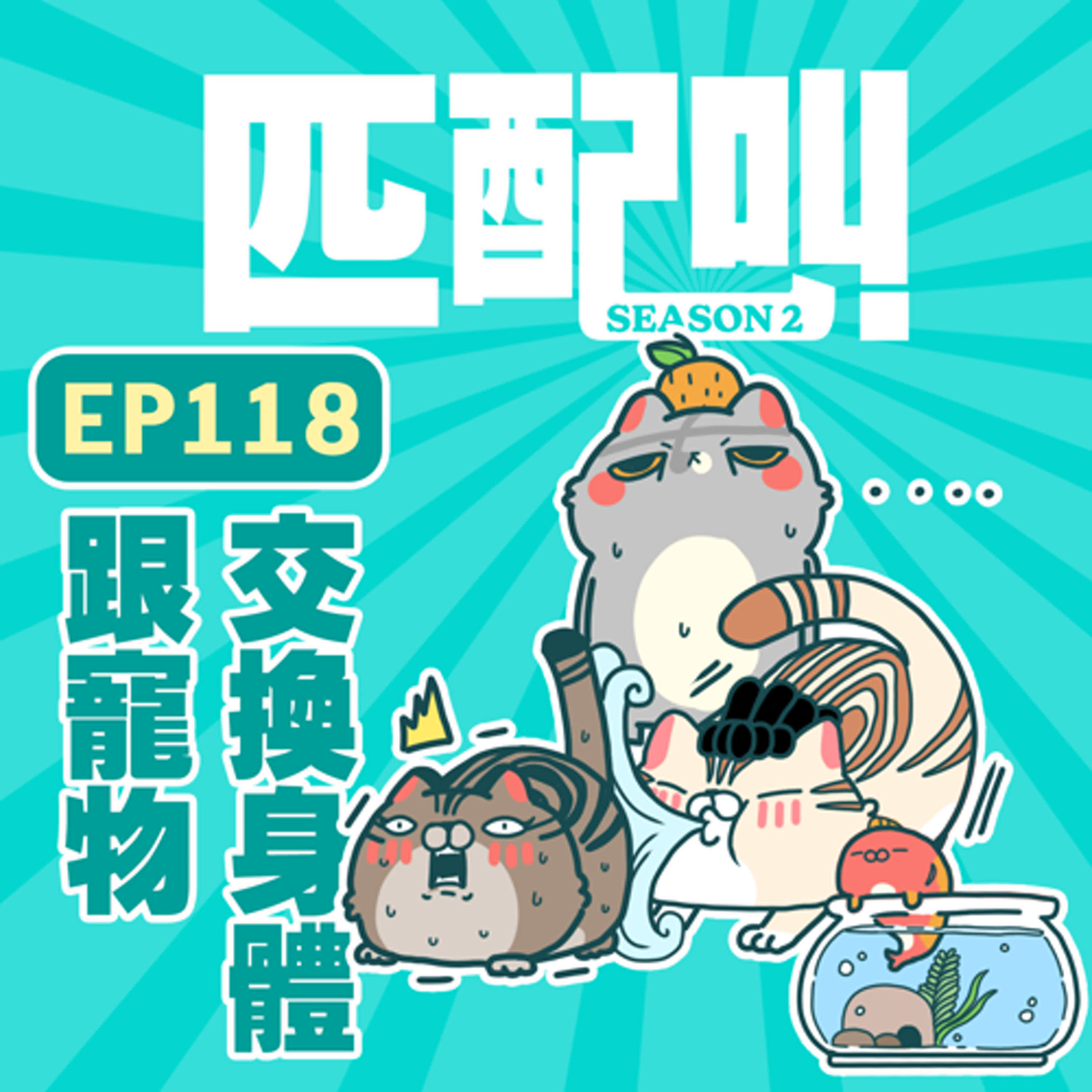 匹配叫第二季 EP118 - 跟寵物交換身體