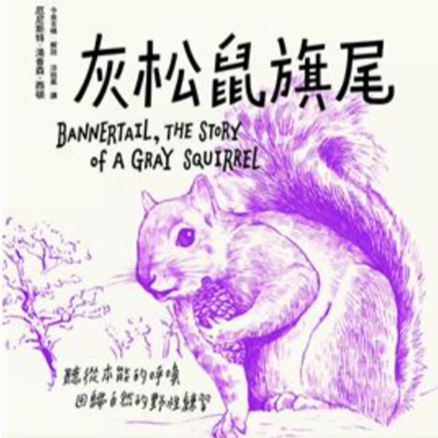 ｜EP82｜.《給孩子的西頓動物記4：灰松鼠旗尾 》(上集) ：跟著灰松鼠一起探索森林奧秘，了解動物生存法則！