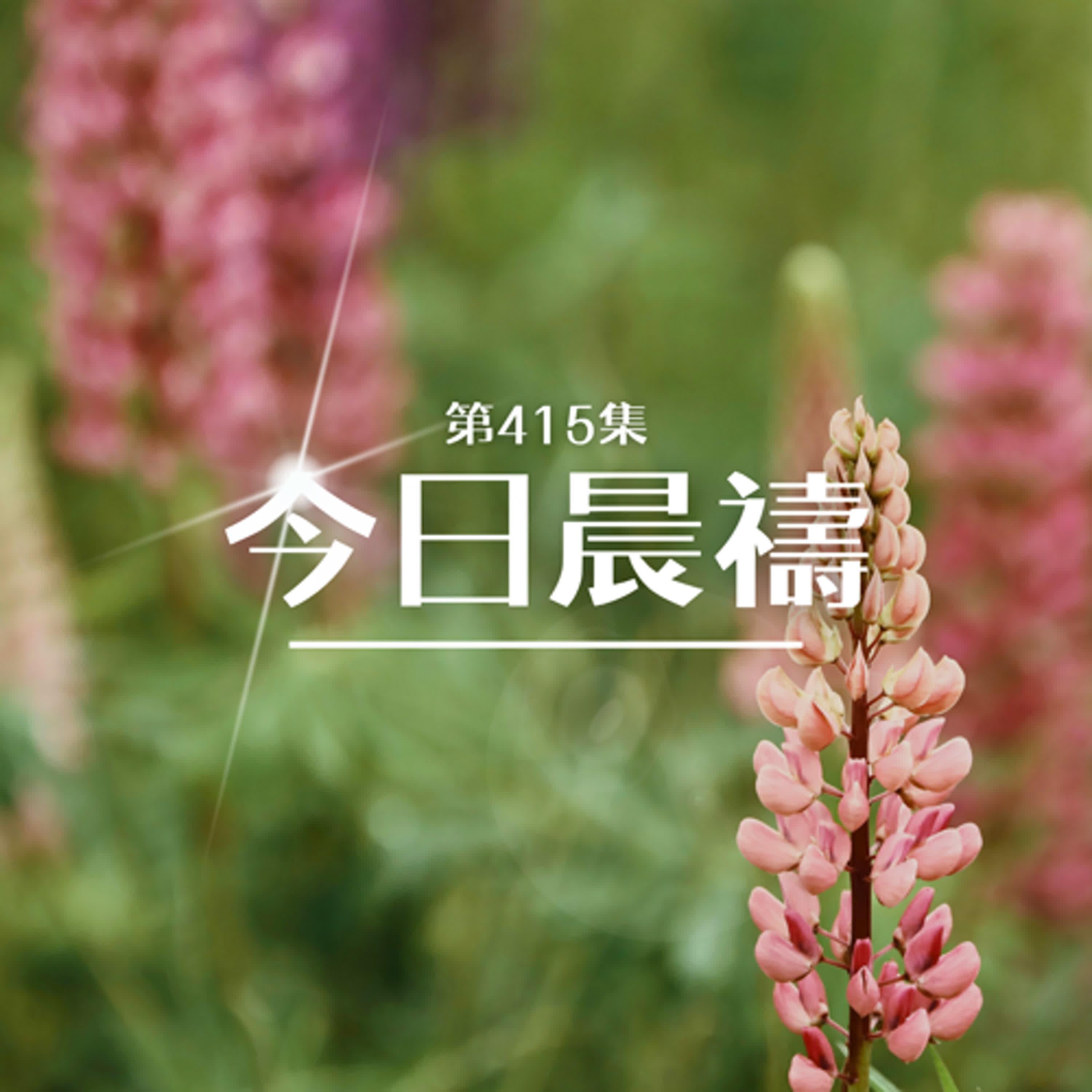 神對女子產業議題的回應｜晨禱讀經 Ep.415｜民數記 36:5-13