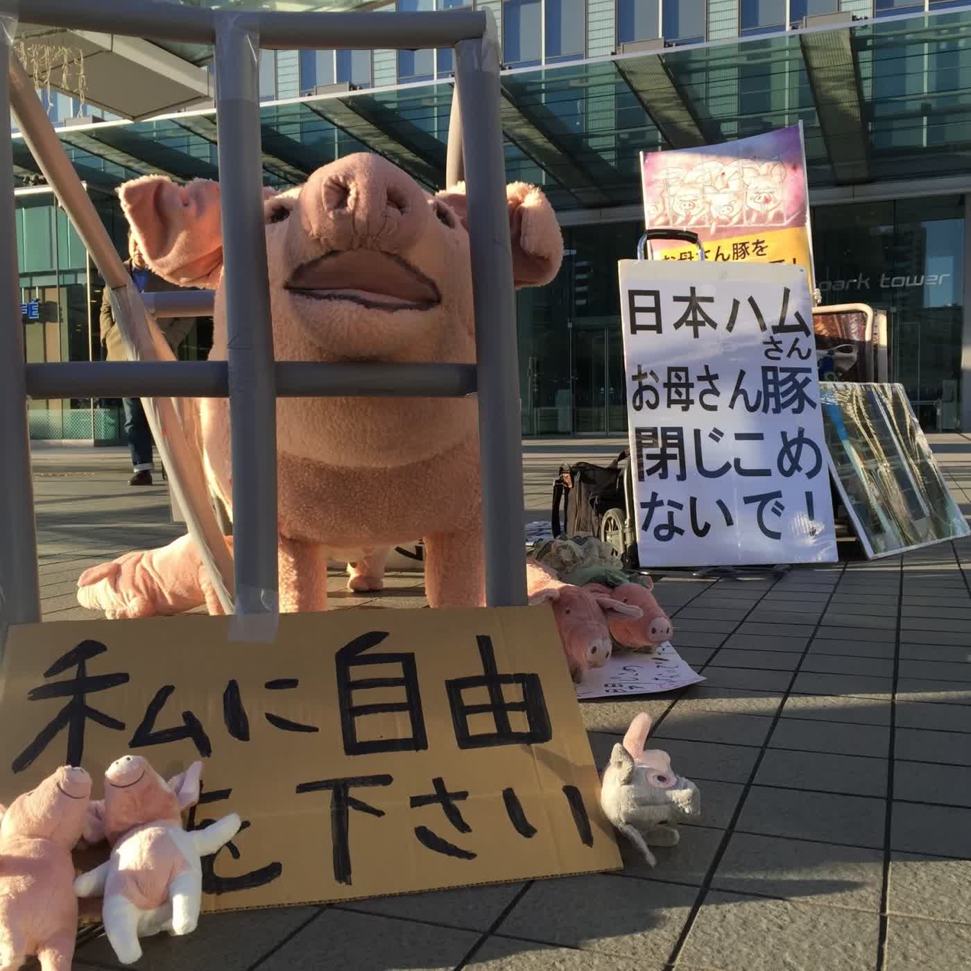 243【動保書房系列28】龍緣之日本動保之旅