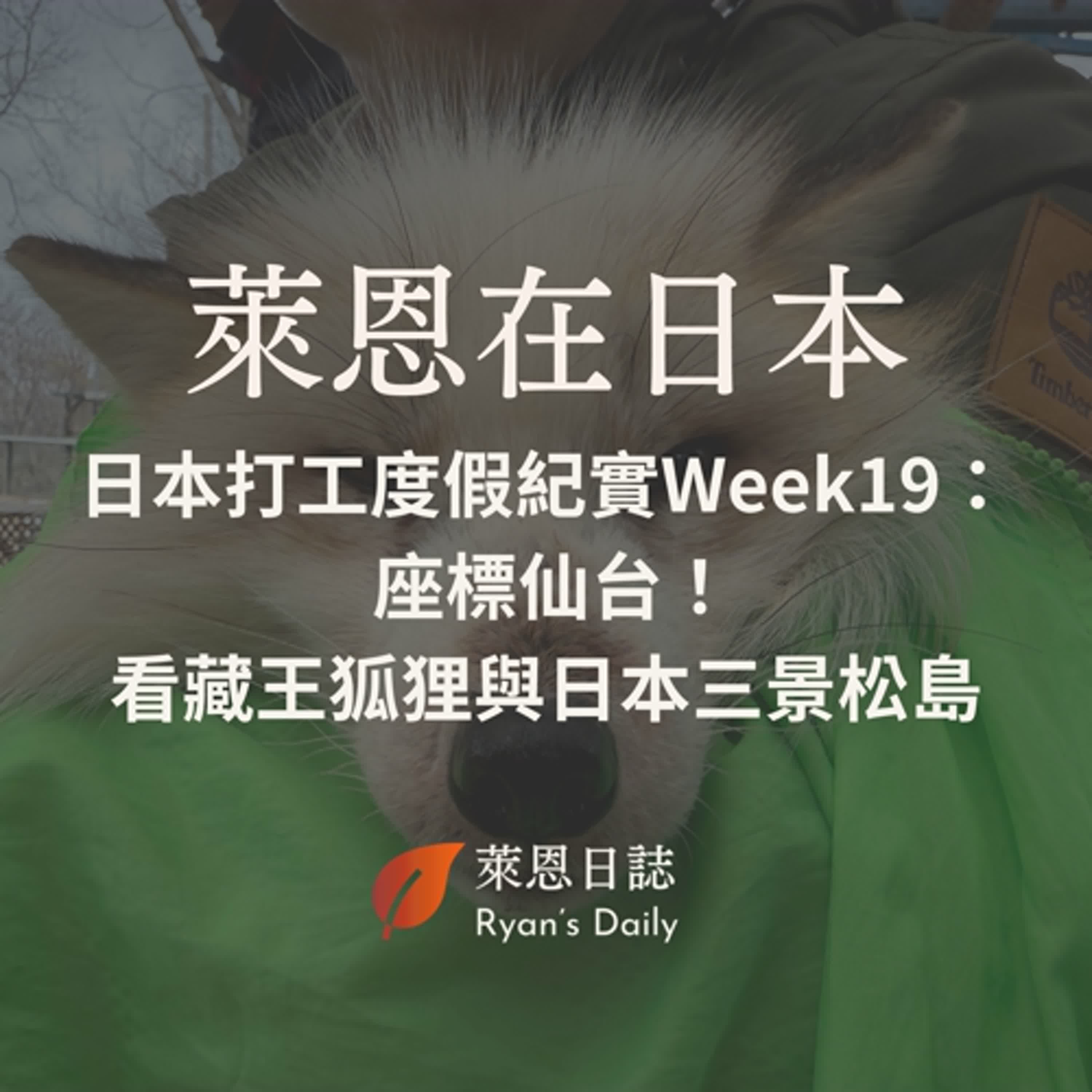萊恩在日本 S5E19：日本打工度假紀實Week19： 座標仙台！結束北海道換宿，支笏湖、洞爺湖一日遊與開啟東北行，看藏王狐狸與日本三景松島