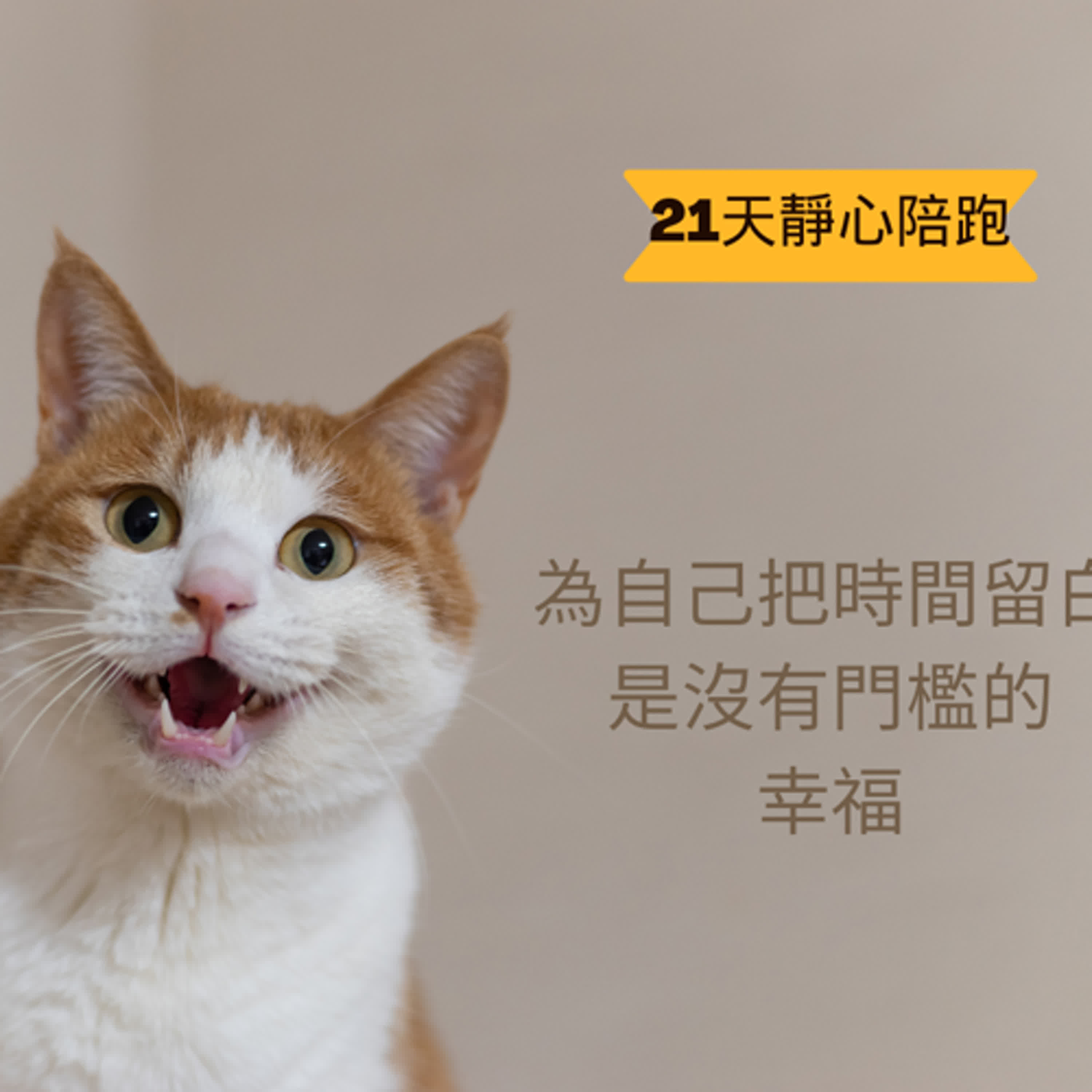 自我照顧｜21 天靜心陪跑 Day 8