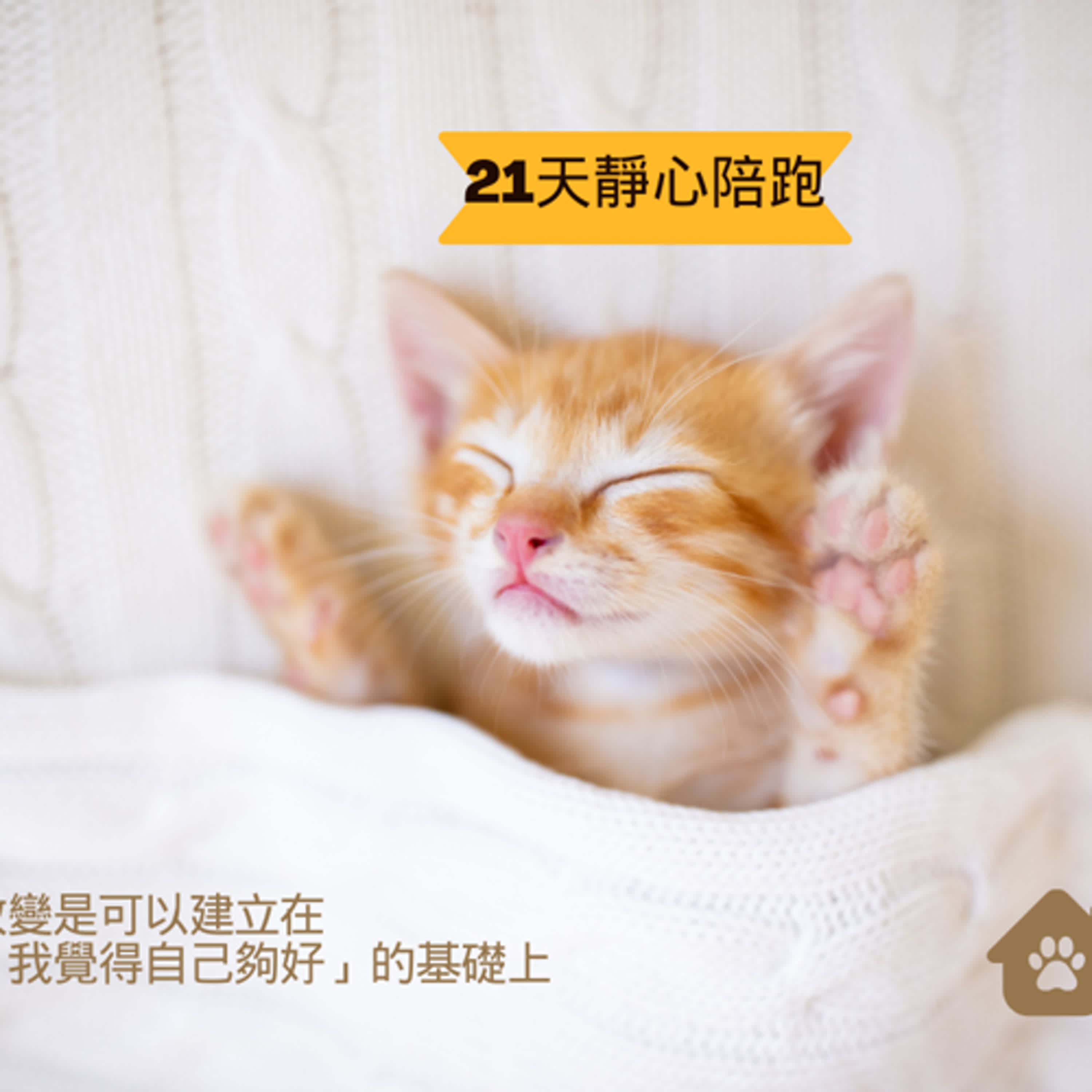 送光與愛給親近的人(希塔冥想)｜21 天靜心陪跑 Day 3