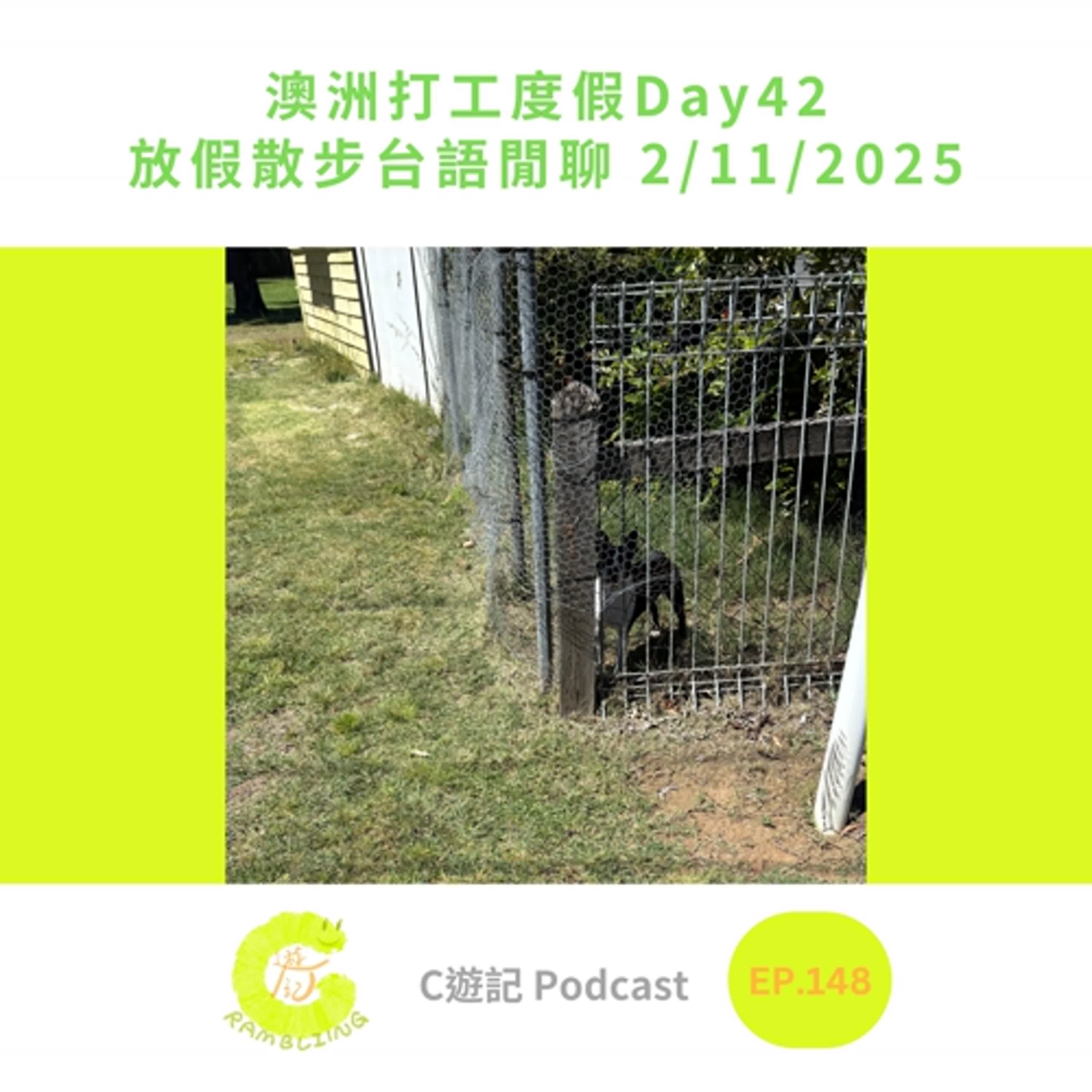 澳洲打工度假Day42 放假散步台語閒聊 2/11/2025｜Ｃ遊記EP.148