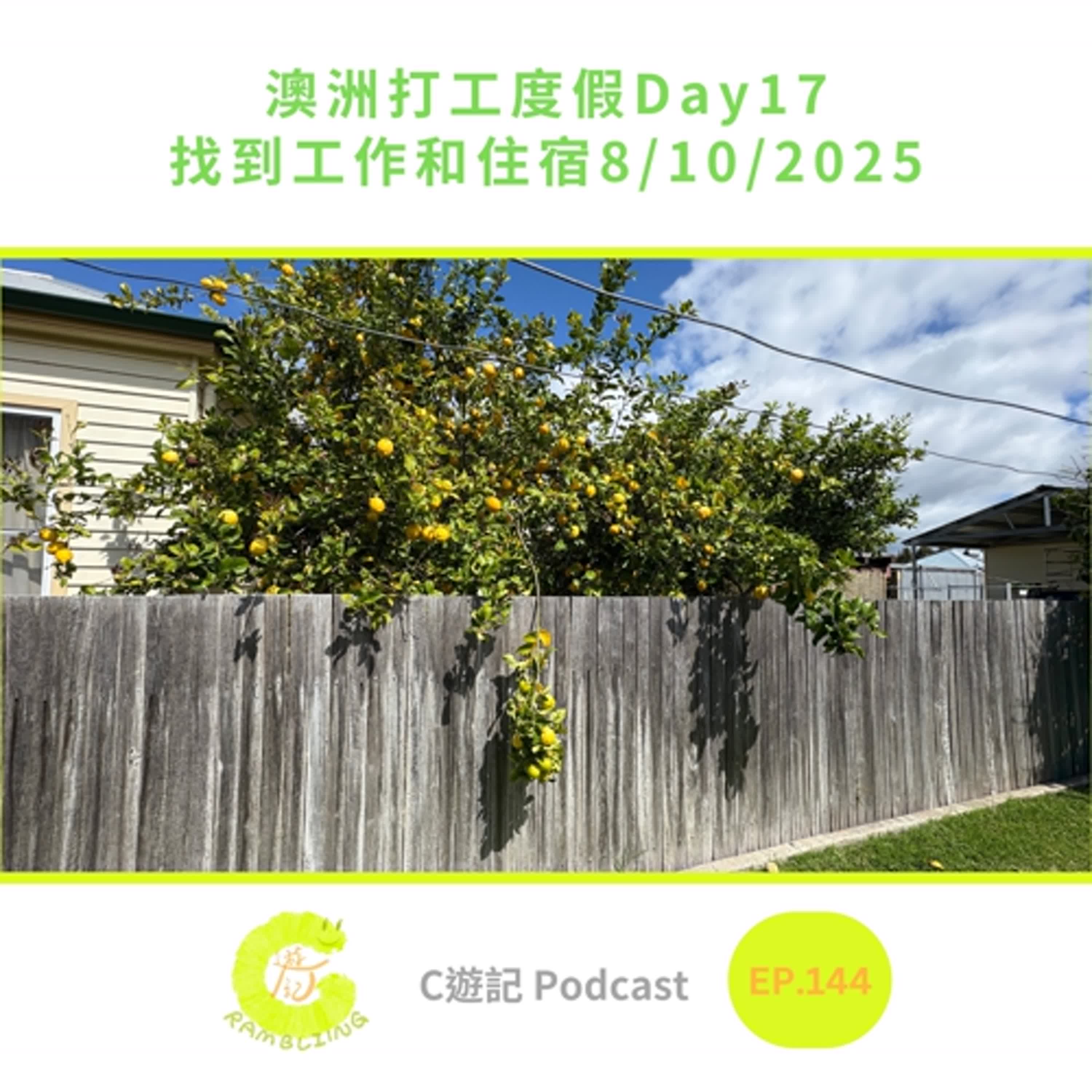 澳洲打工度假Day17 找到工作和住宿8/10/2025|C遊記EP.144