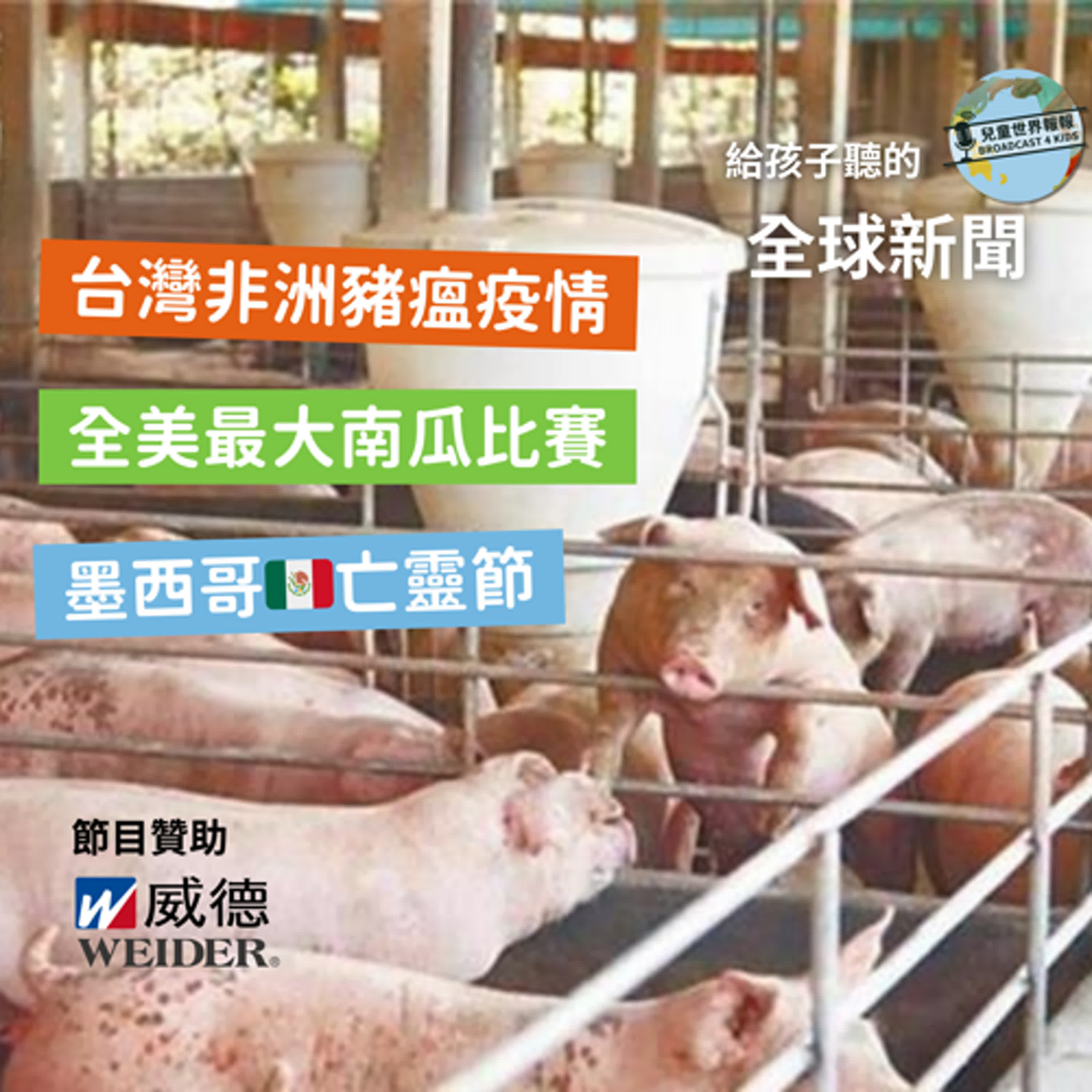 【國際新聞】台灣出現非洲豬瘟｜萬聖節南瓜大賽｜墨西哥亡靈節