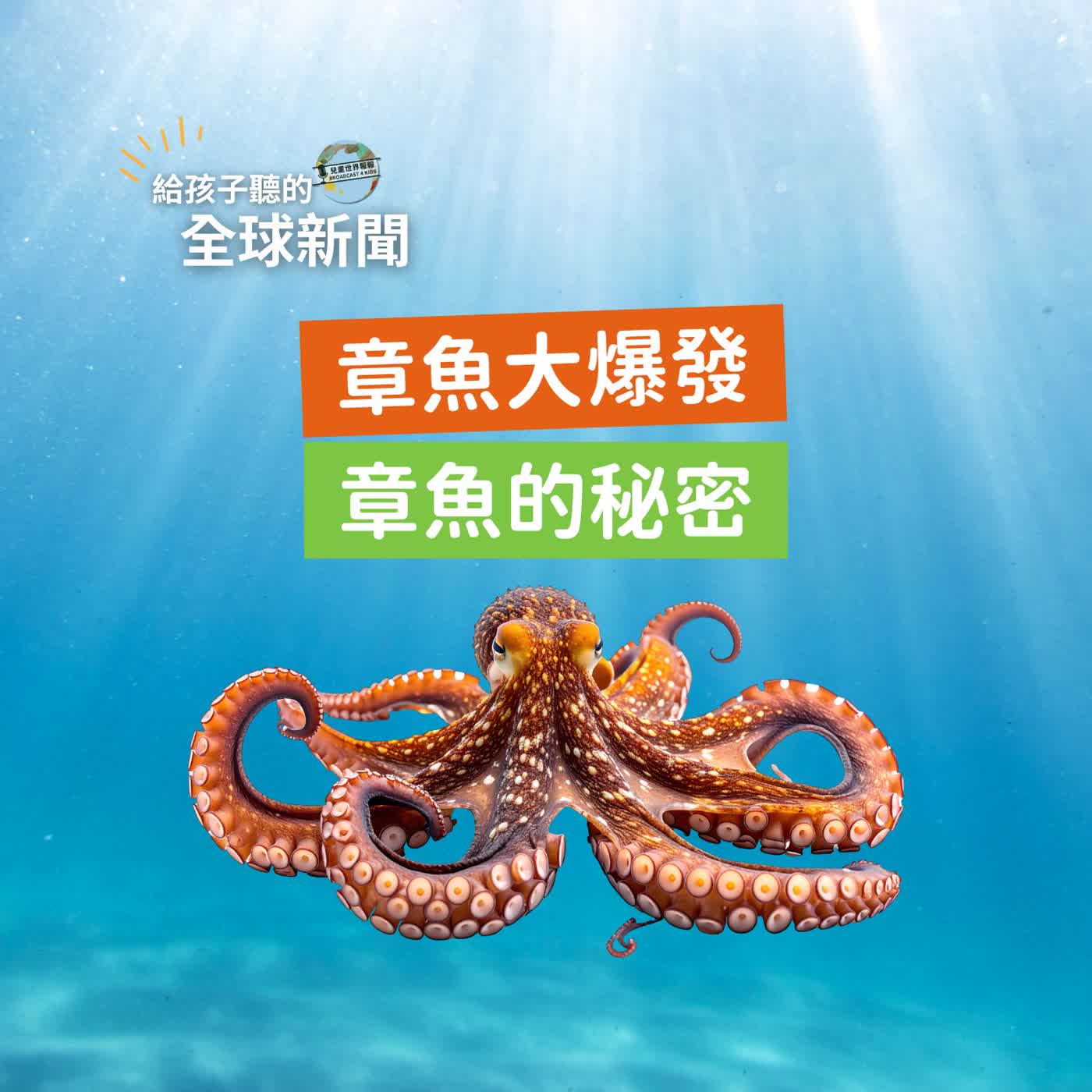 【國際新聞】英國章魚大爆發，跟廷瑄認識章魚的秘密