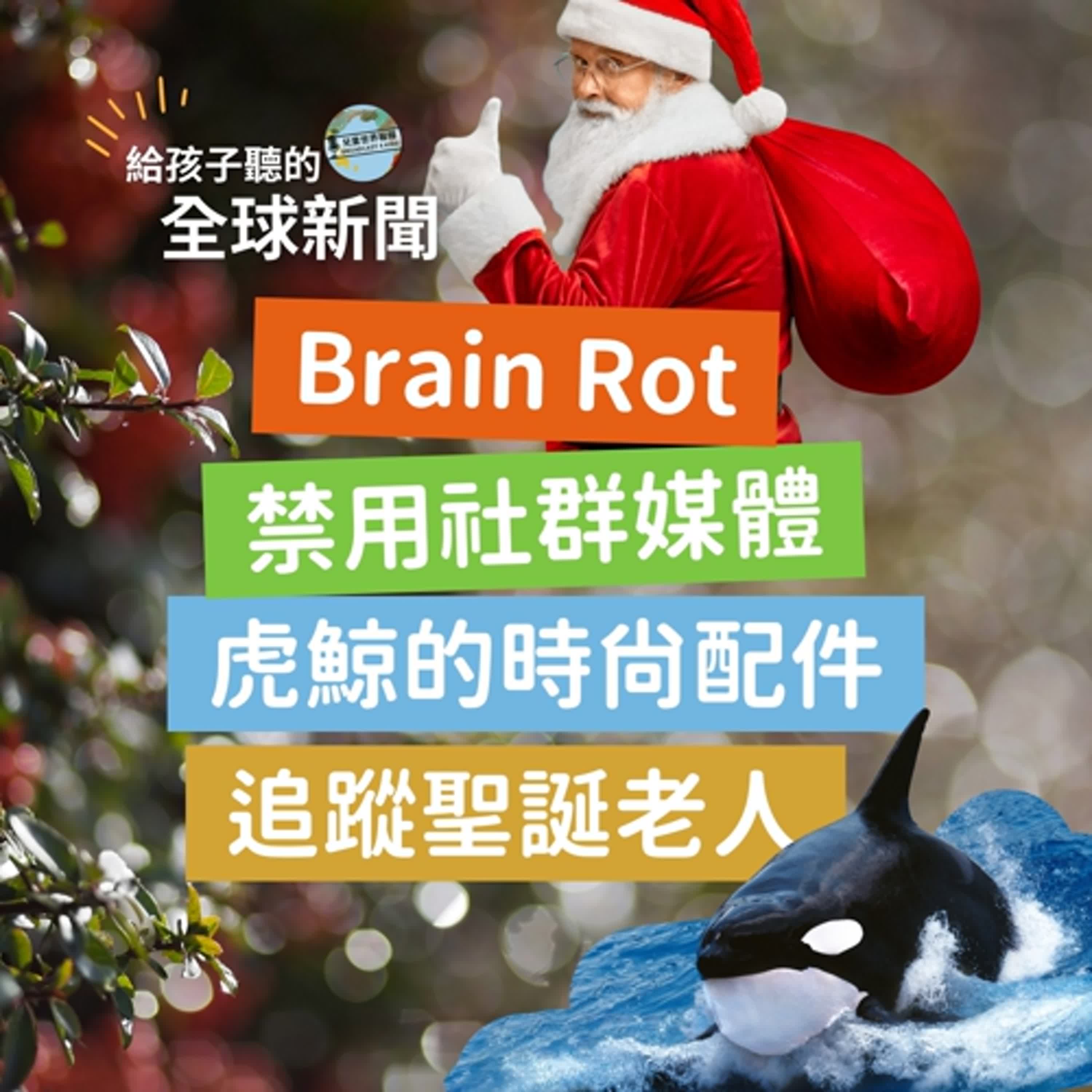 【國際新聞】Brain Rot ｜16歲以下禁用社群媒體｜虎鯨的時尚配件｜追蹤聖誕老人 🎅