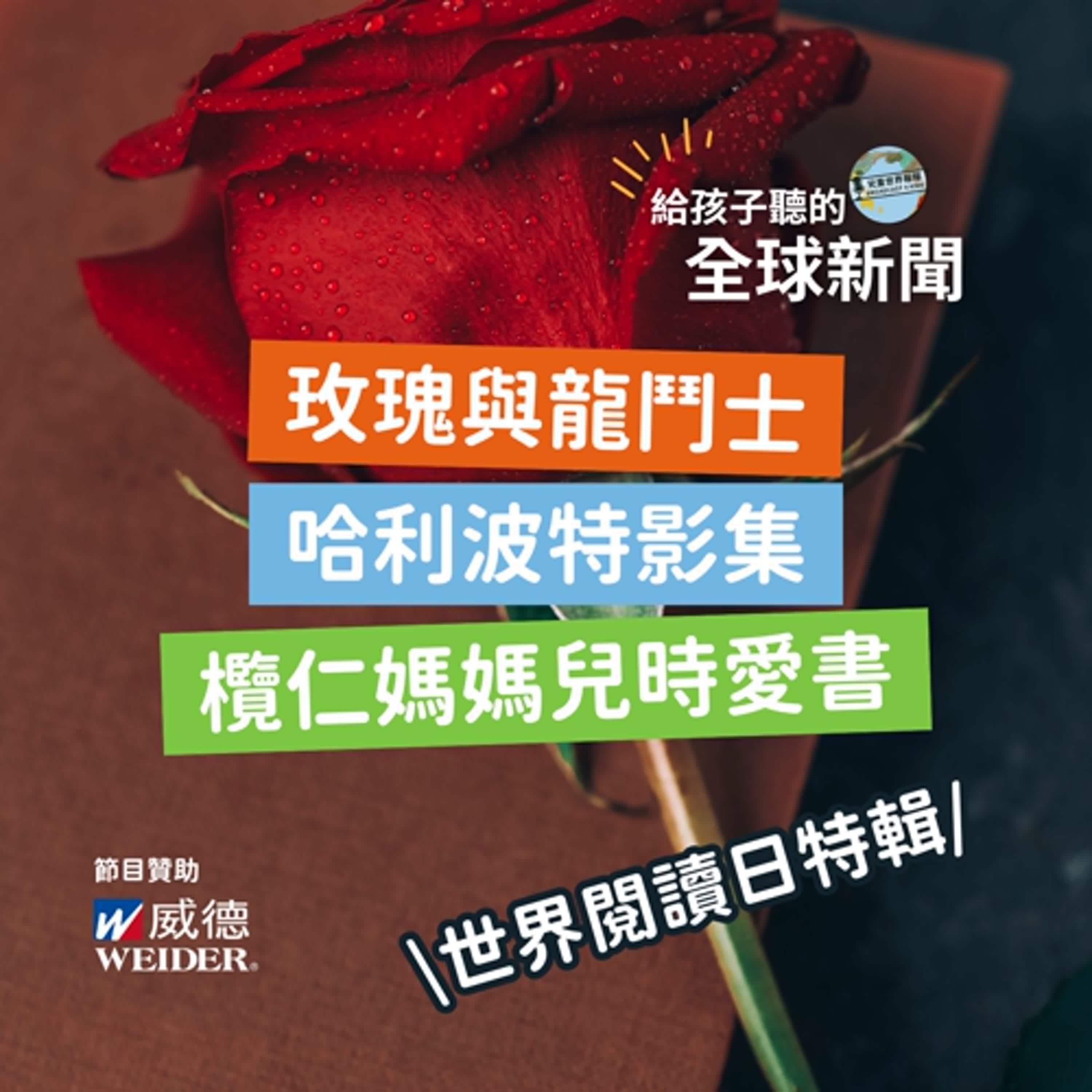 【世界閱讀日特輯】玫瑰與龍鬥士｜哈利波特電視影集｜欖仁媽媽兒時愛書