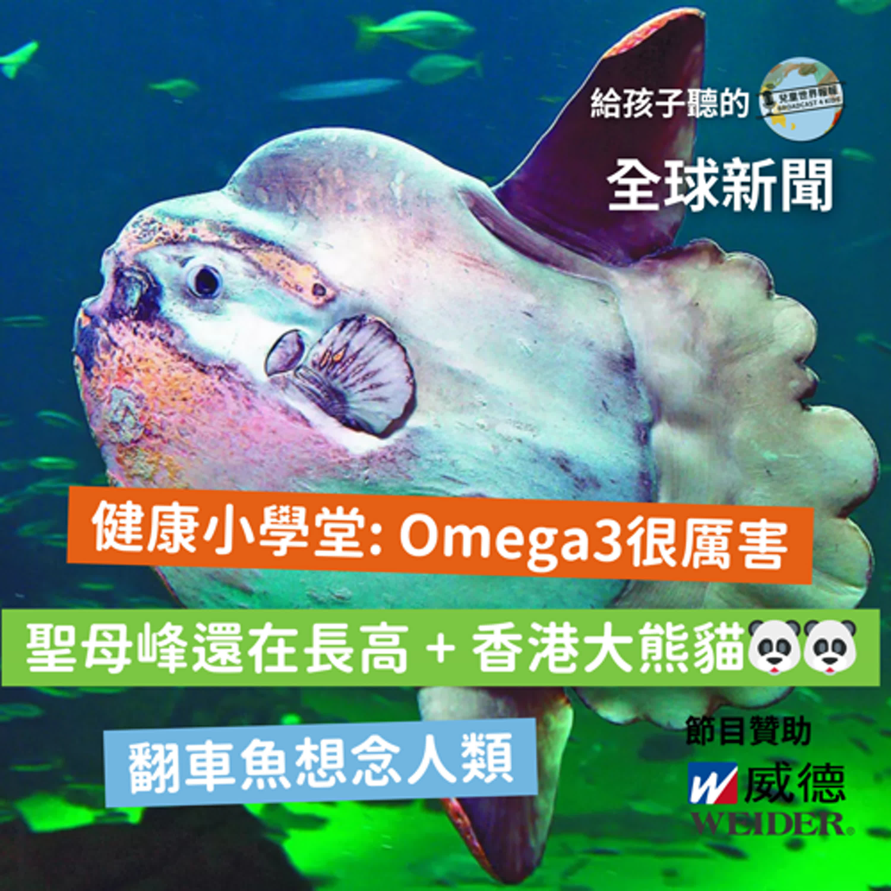 【國際新聞】聖母峰還在長高｜香港大熊貓雙胞胎會面粉絲｜翻車魚很寂寞