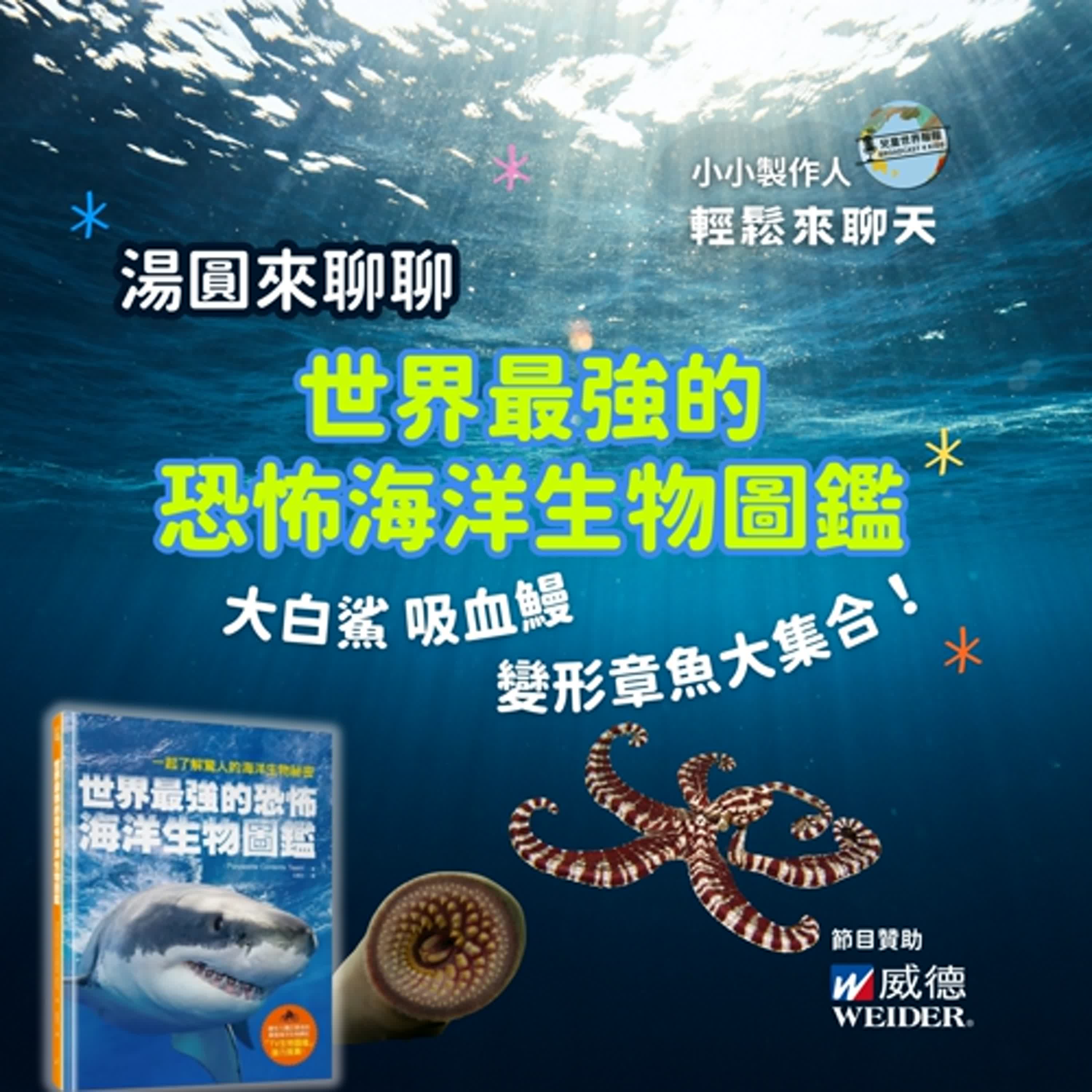 【小小製作人- 輕鬆來聊天】湯圓聊恐怖海洋圖鑑：大白鯊、七鰓鰻、擬態章魚！