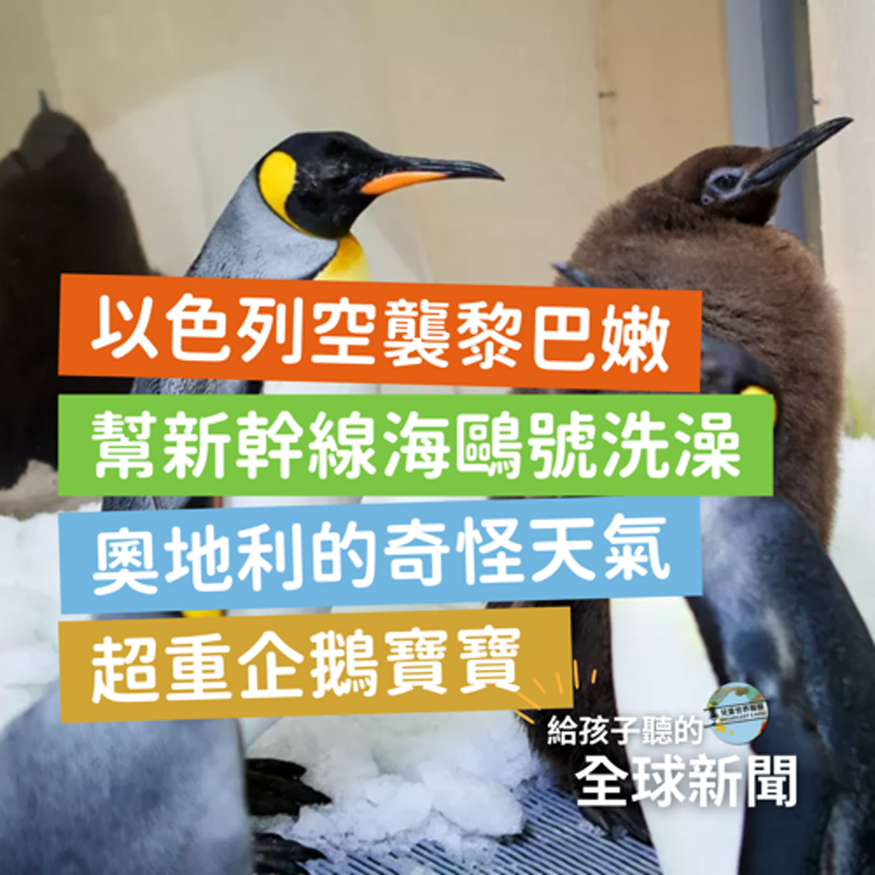 【國際新聞】以色列空襲黎巴嫩｜幫新幹線「海鷗號」洗澡｜奧地利的奇怪天氣｜超重企鵝寶寶