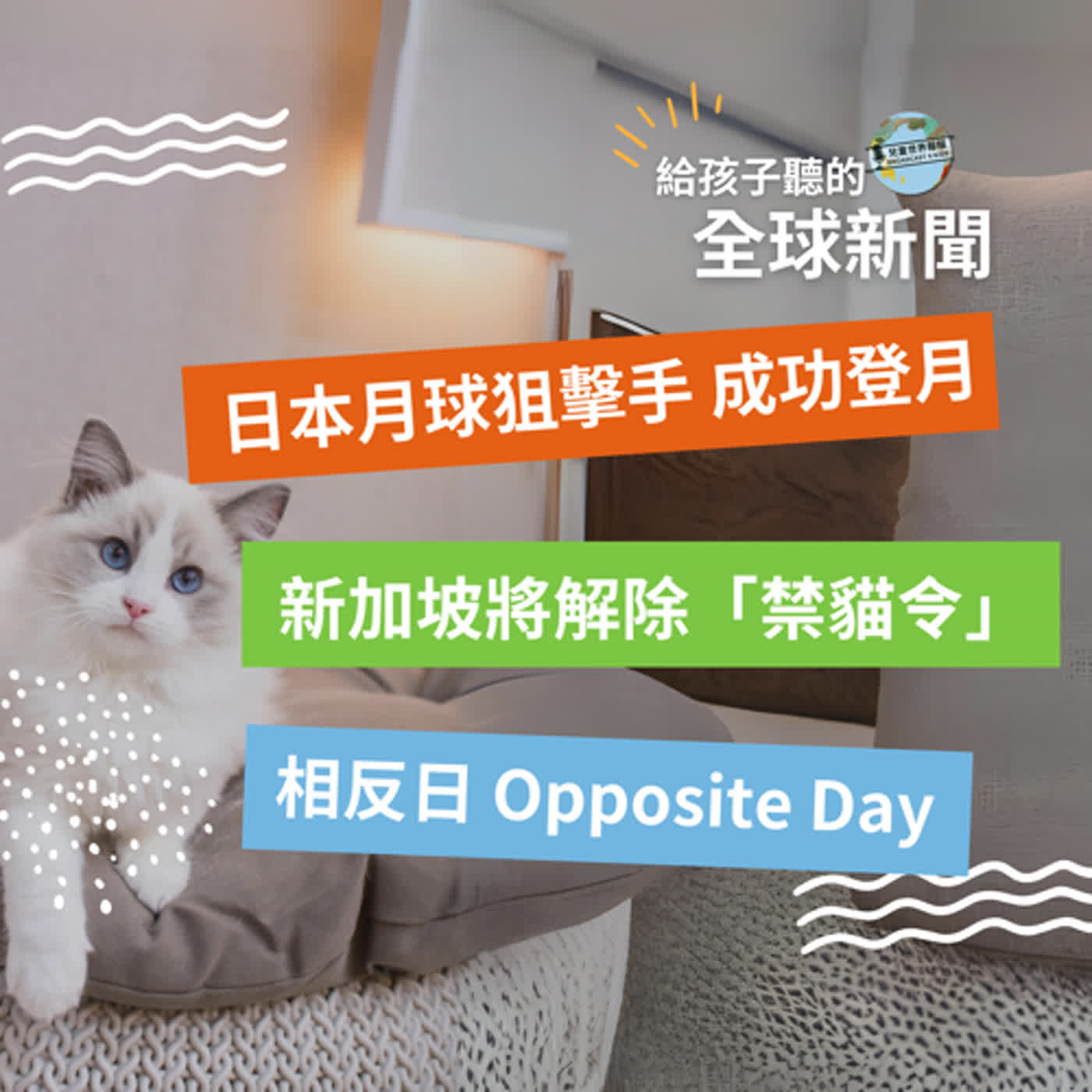 【國際新聞】日本成功登月｜新加坡貓咪歡呼｜相反日