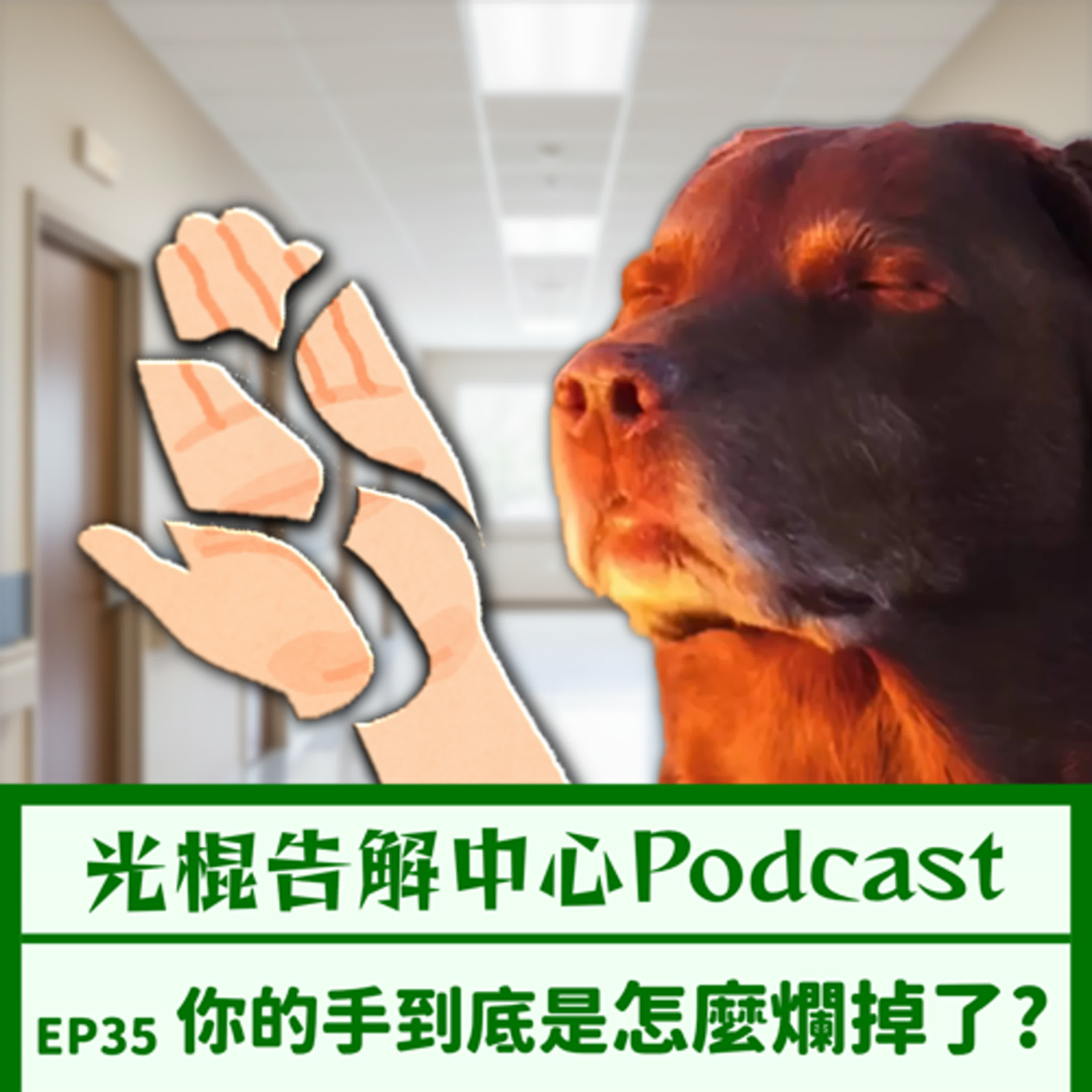 EP35 你的手到底是怎麼爛掉的? episode artwork
