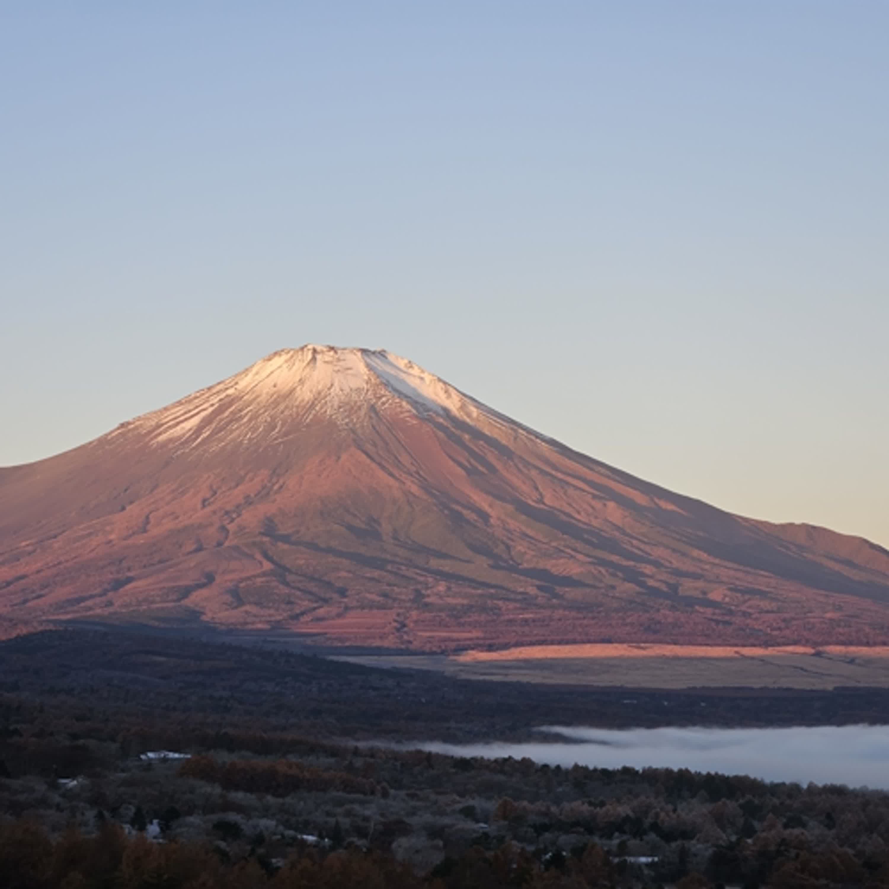 ep.247東京旅遊的故事