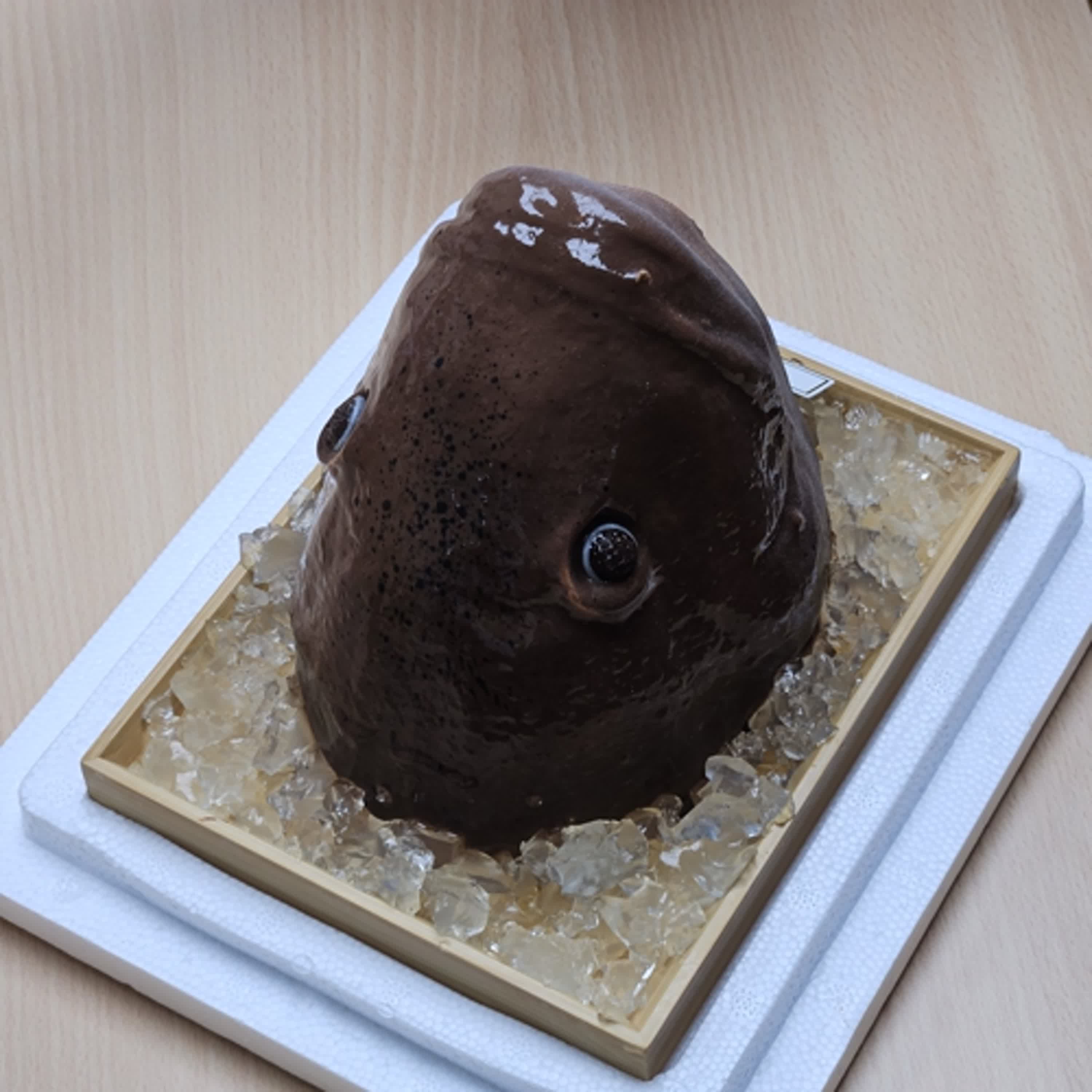 ep.245獵魔女團的故事