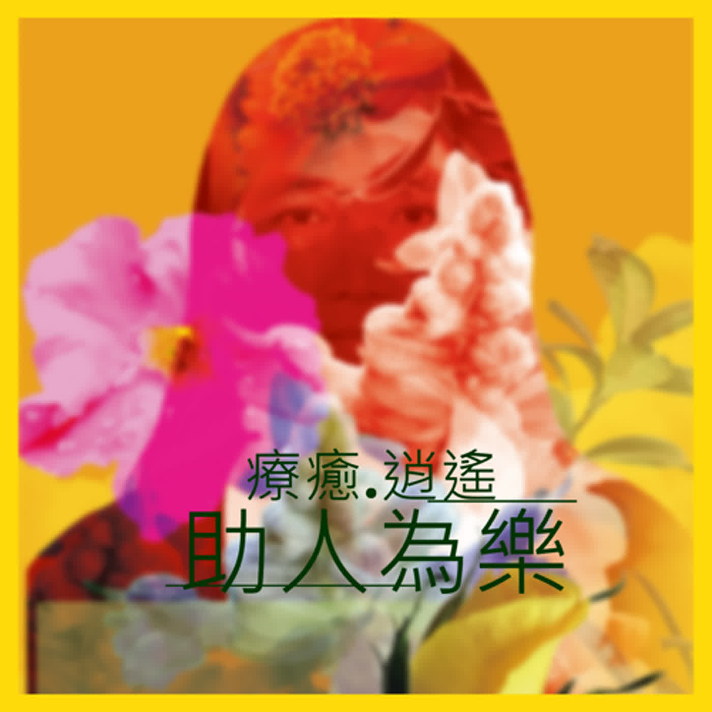 第53集紫斑蝶的到來