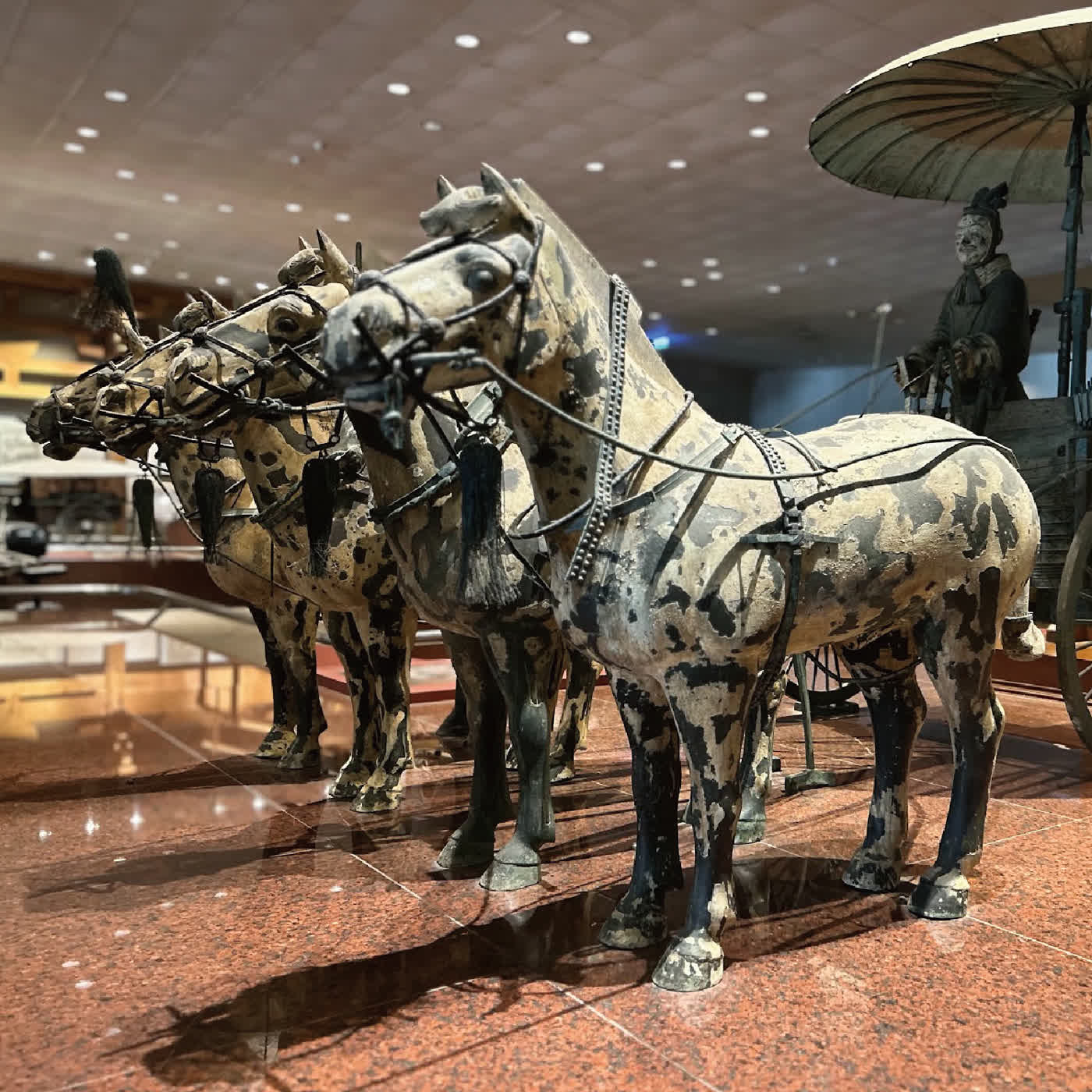 EP56 一馬當先賀馬年