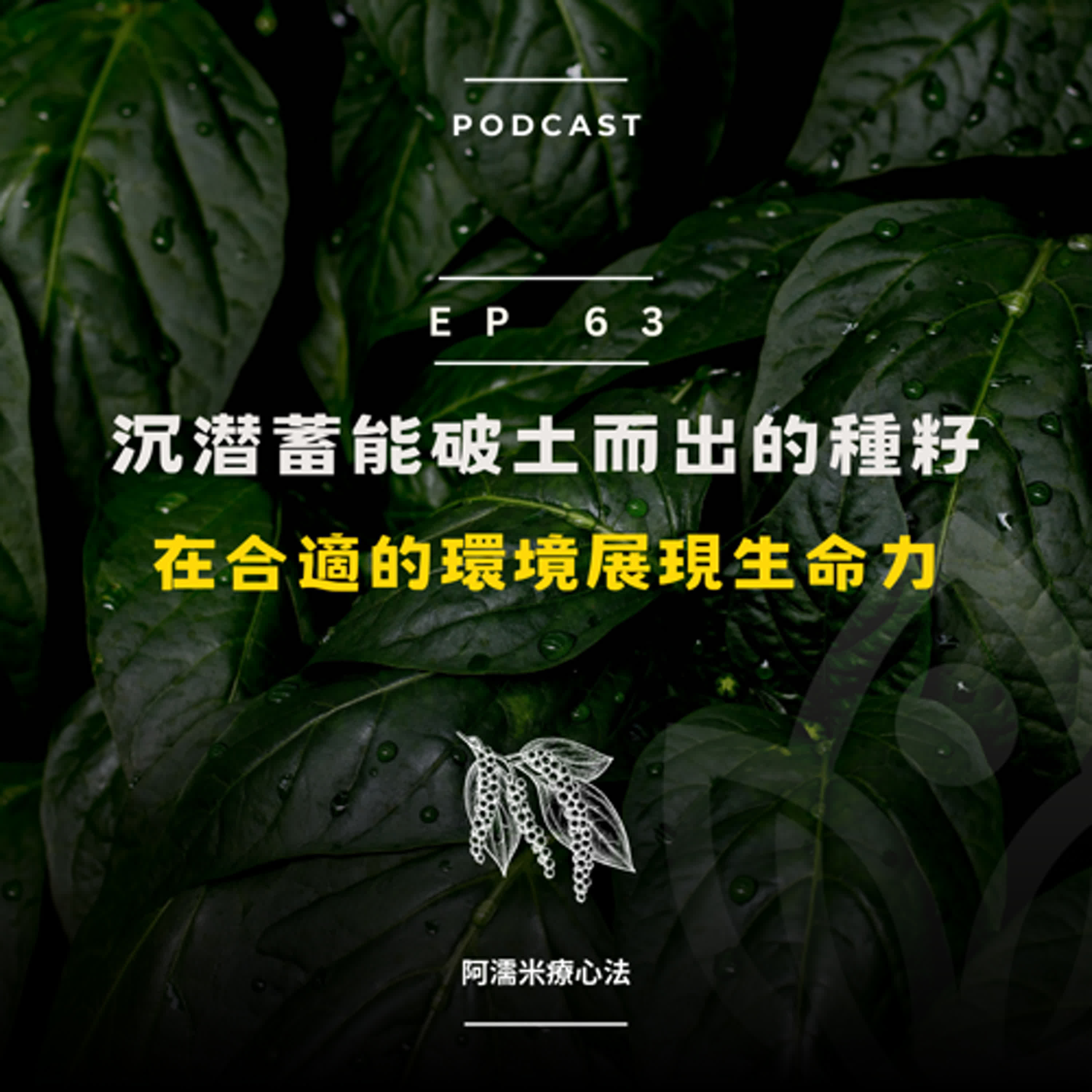 EP 63 植人系列-沉潜蓄能破土而出的種籽，在適合的環境展現生命力