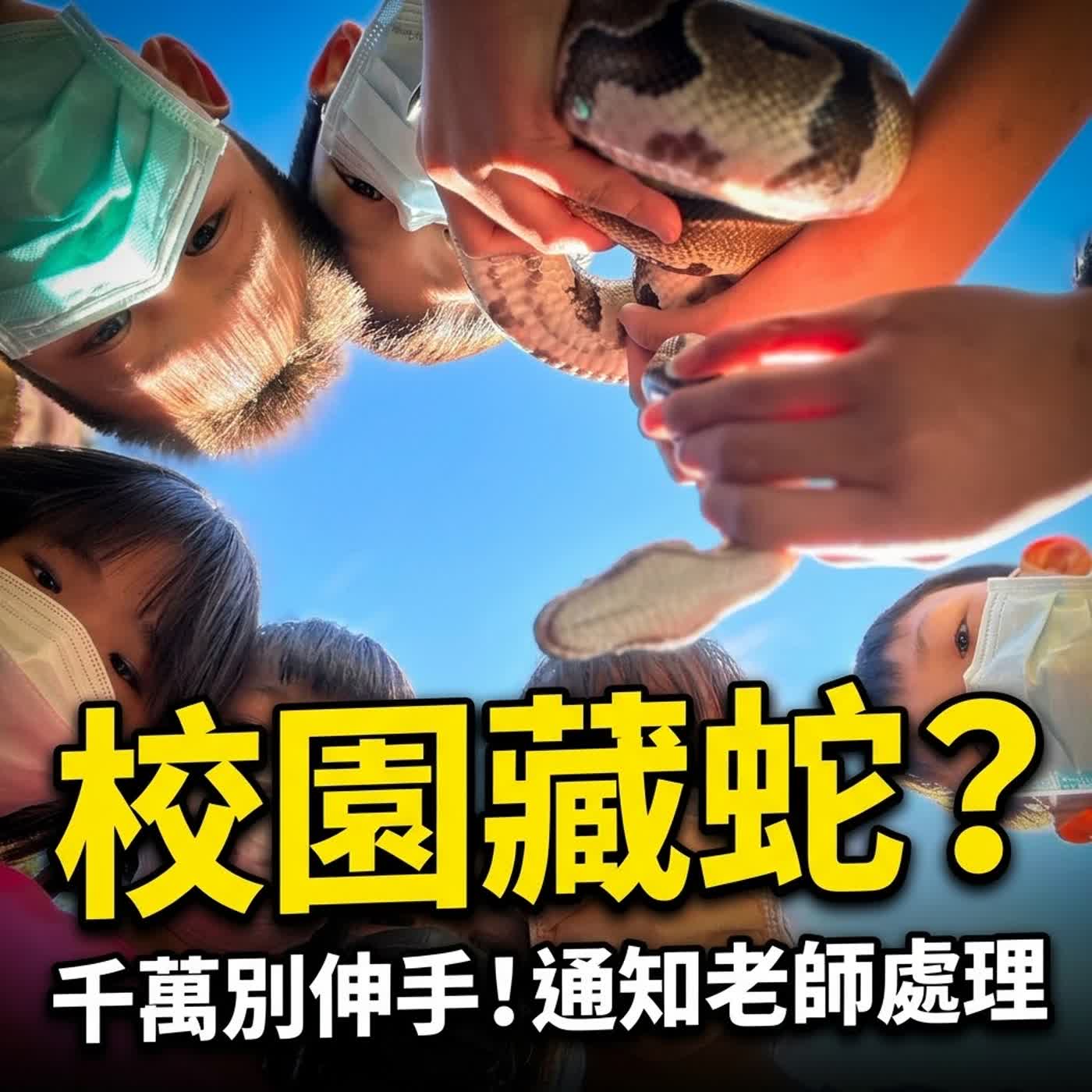 小故事聊蛇麼11 [END]-《女媧補天》小虎老師學校的蛇蛇課（飼養寵物蛇的注意事項） episode artwork