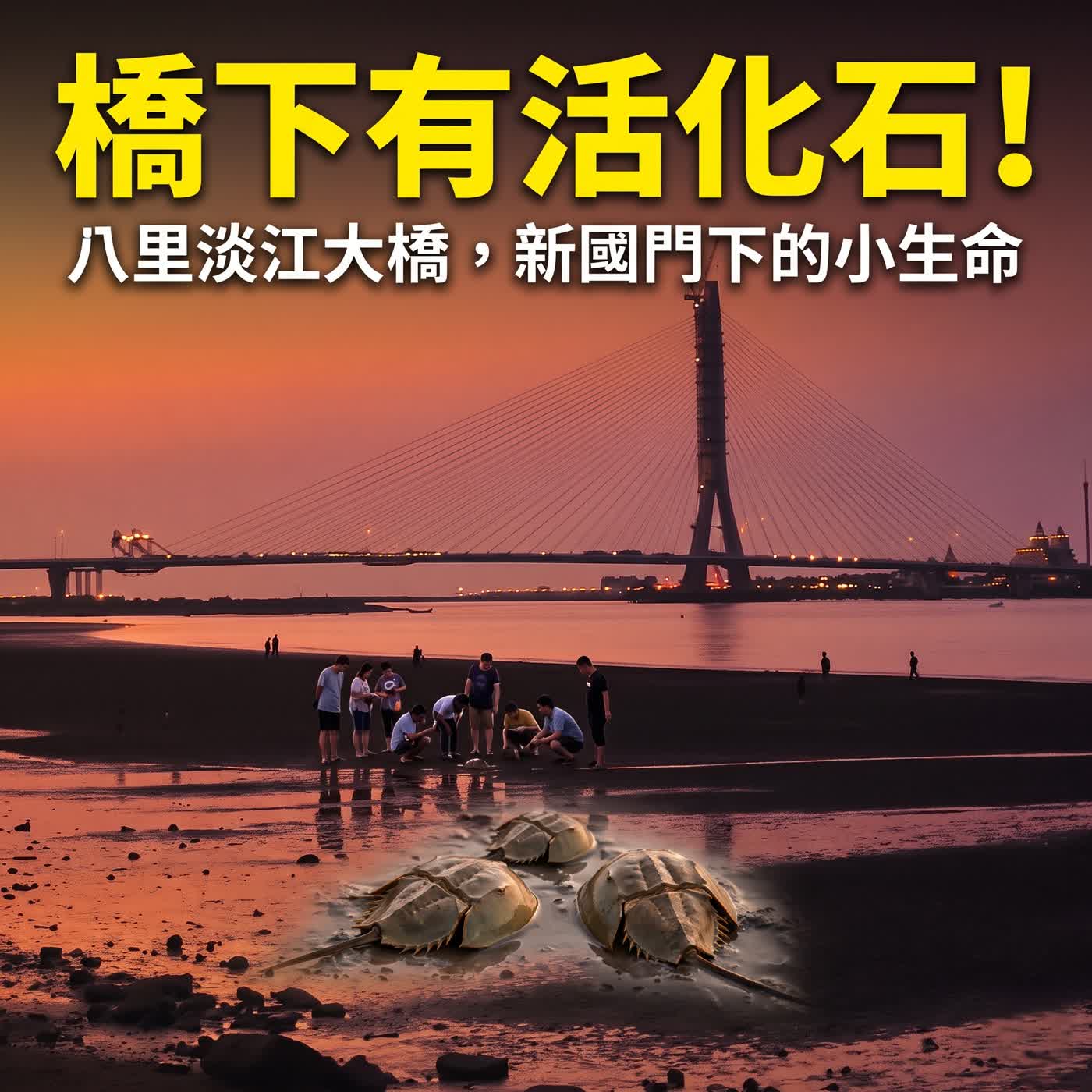 小故事談生態75-八里的傳奇俠盜廖添丁（台灣新國門「淡江大橋」與河口生態系） episode artwork