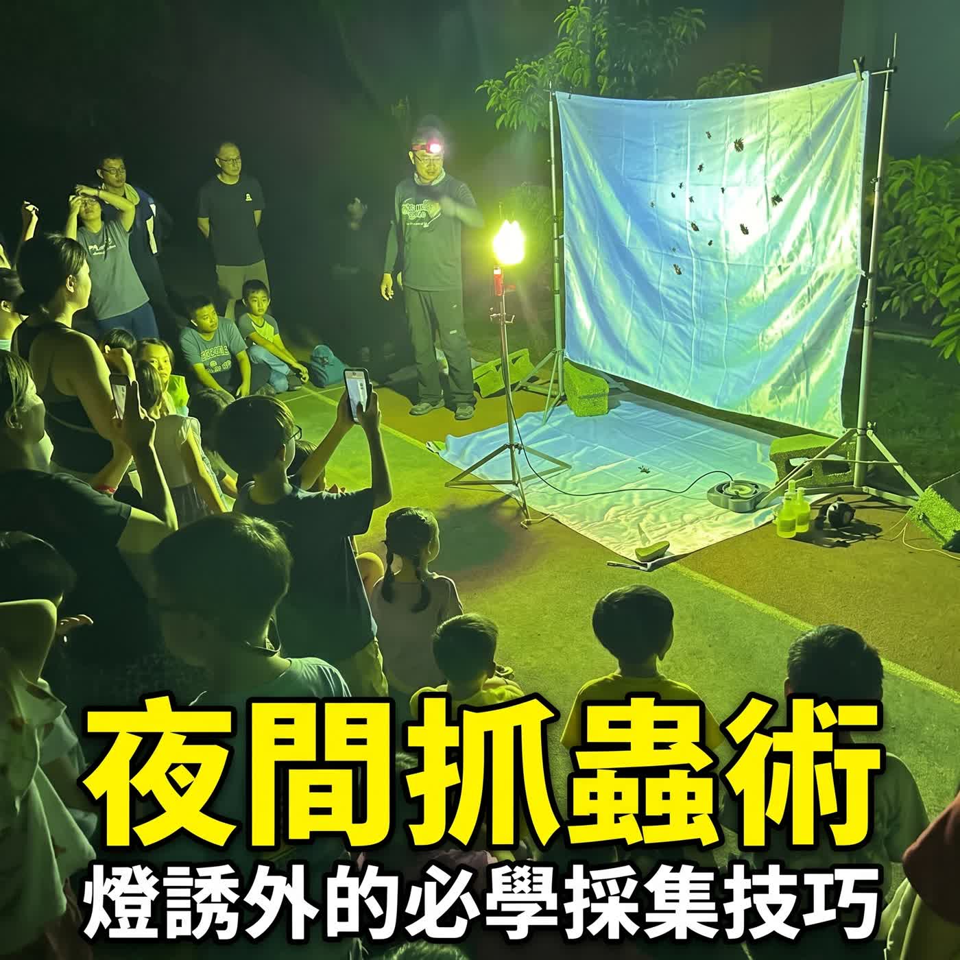 小故事談生態69-採集昆蟲會不會破壞生態？（暑假特輯-昆蟲夜間燈光誘集派對） episode artwork