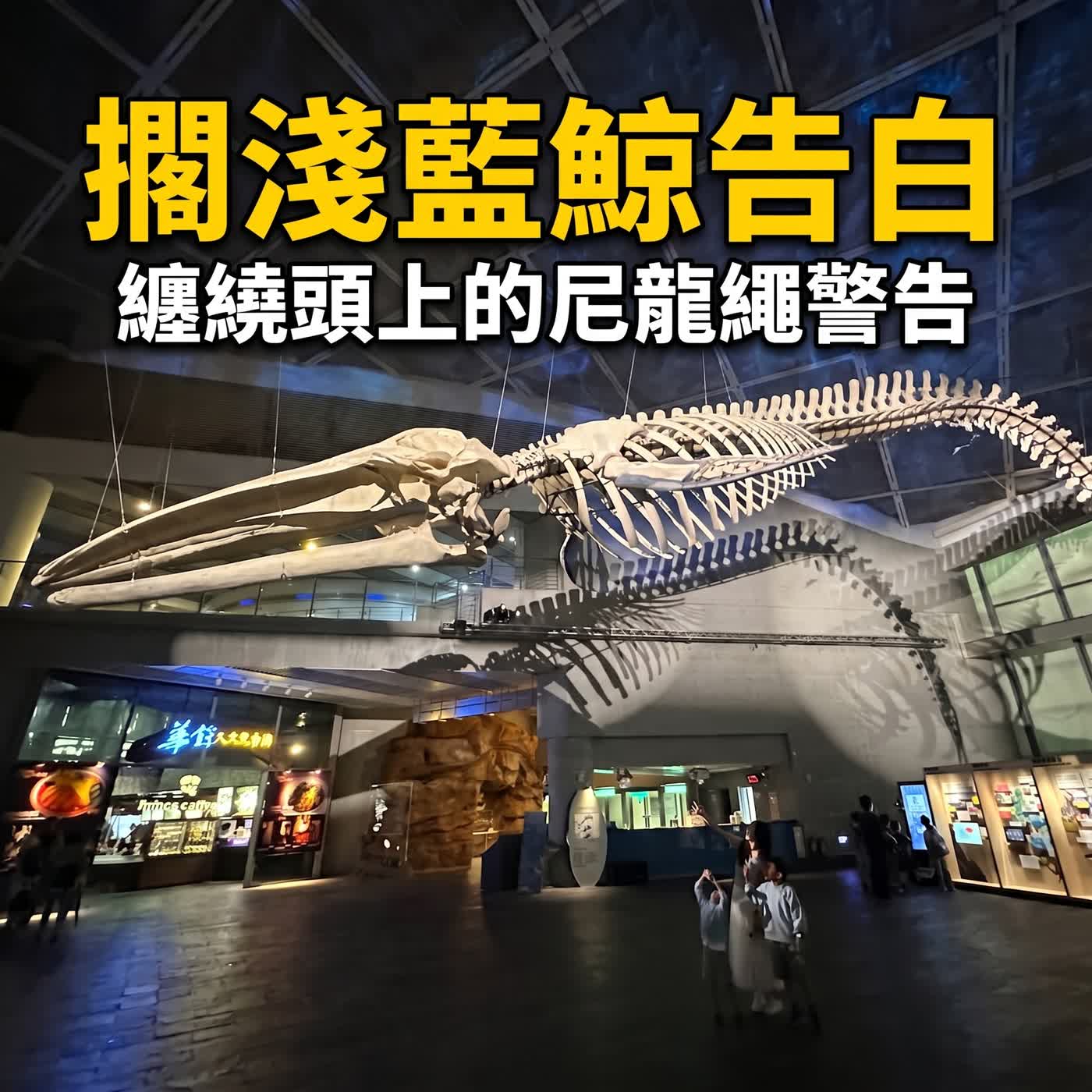 小故事談生態74-鯊魚真的會吃人嗎？（屏東海生館「巨鯨之旅」-從藍鯨到鯊魚的海洋課） episode artwork