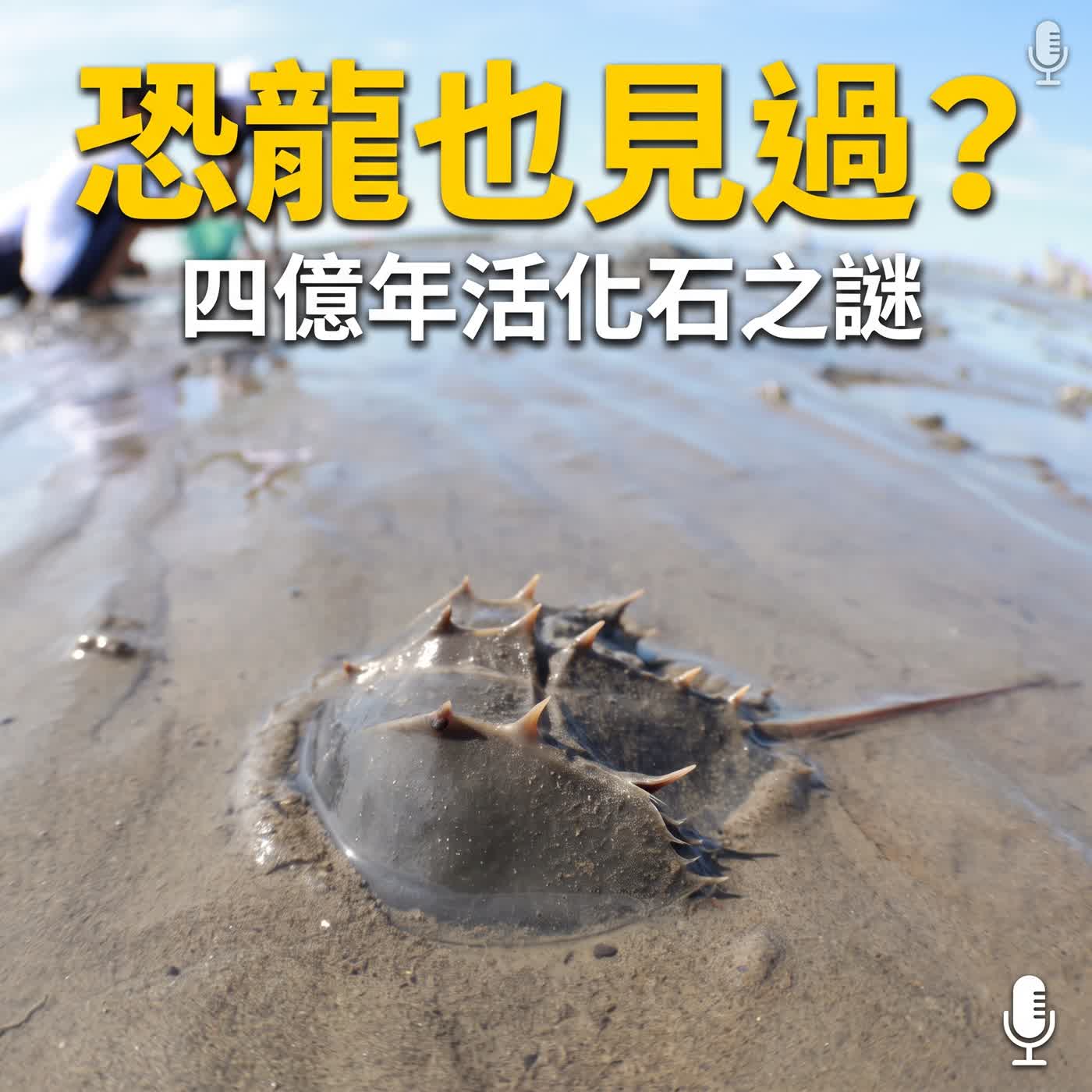 小故事談生態76-比恐龍還要老的海洋活化石（「鱟」該怎麼念呢？） episode artwork