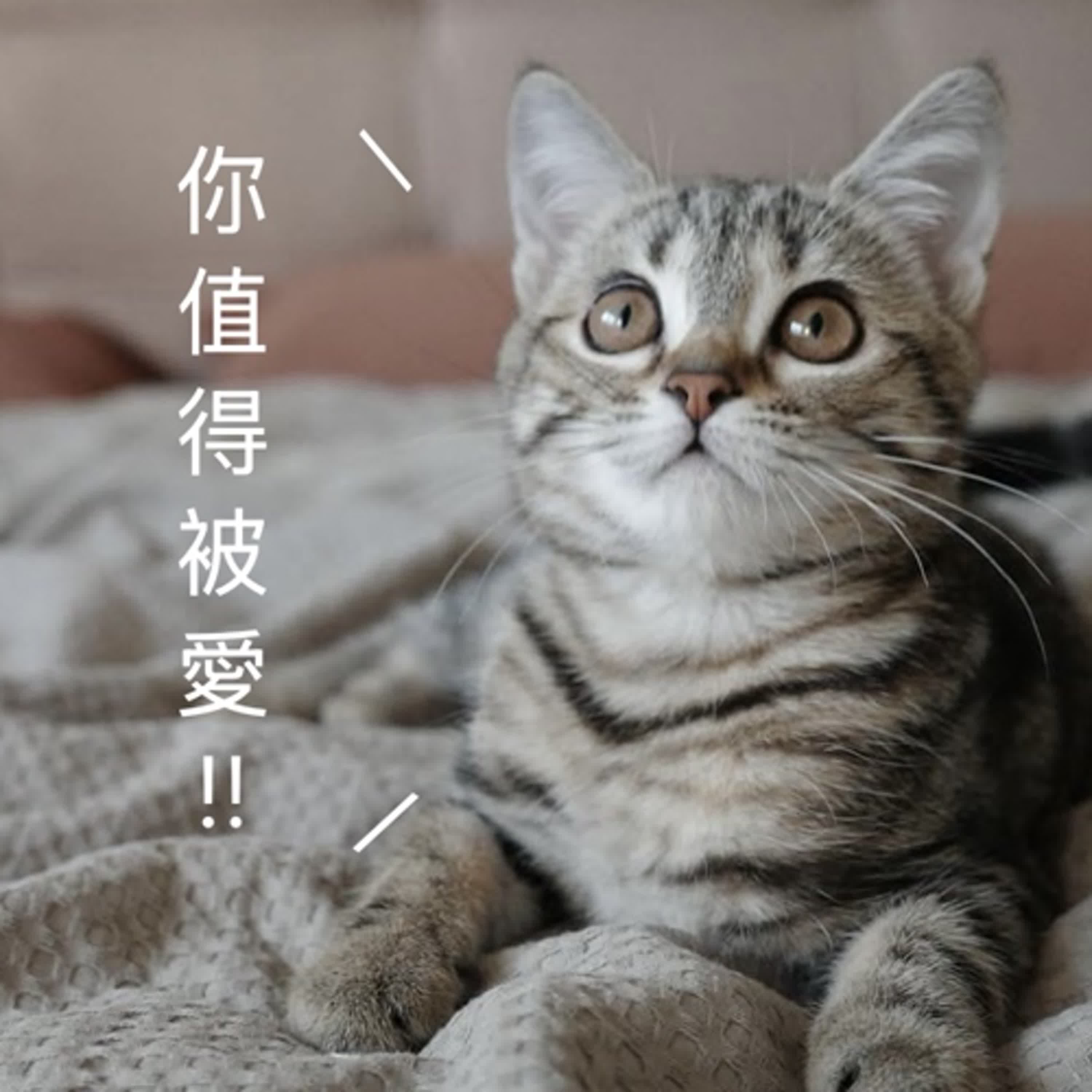 EP126 要小心這類人!!他不是在了解你，是在試探你能服從多少?! episode artwork