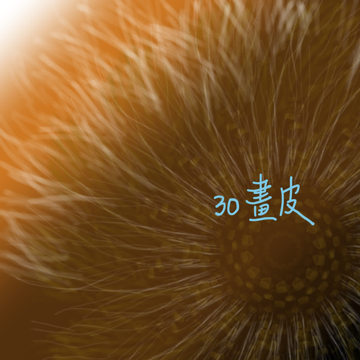 EP30聊齋誌異__畫皮