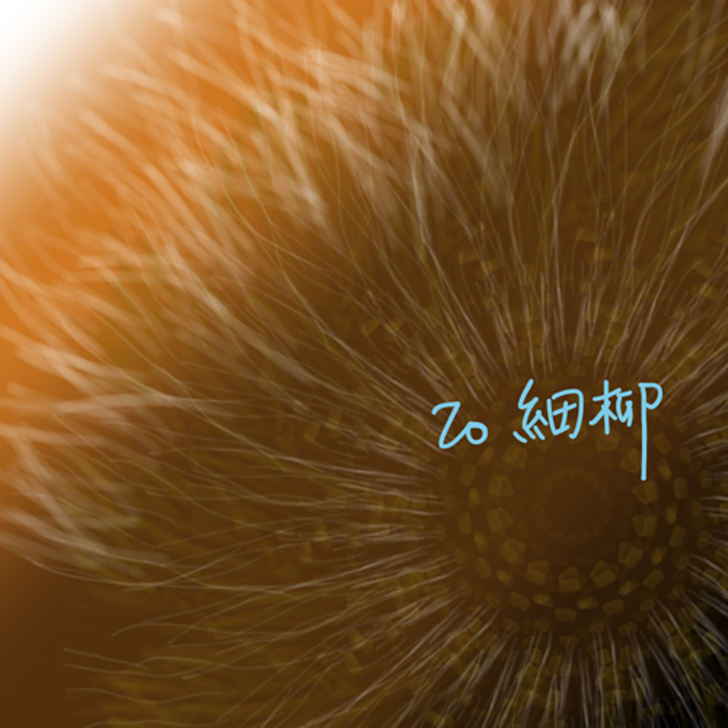 EP20聊齋誌異__細柳