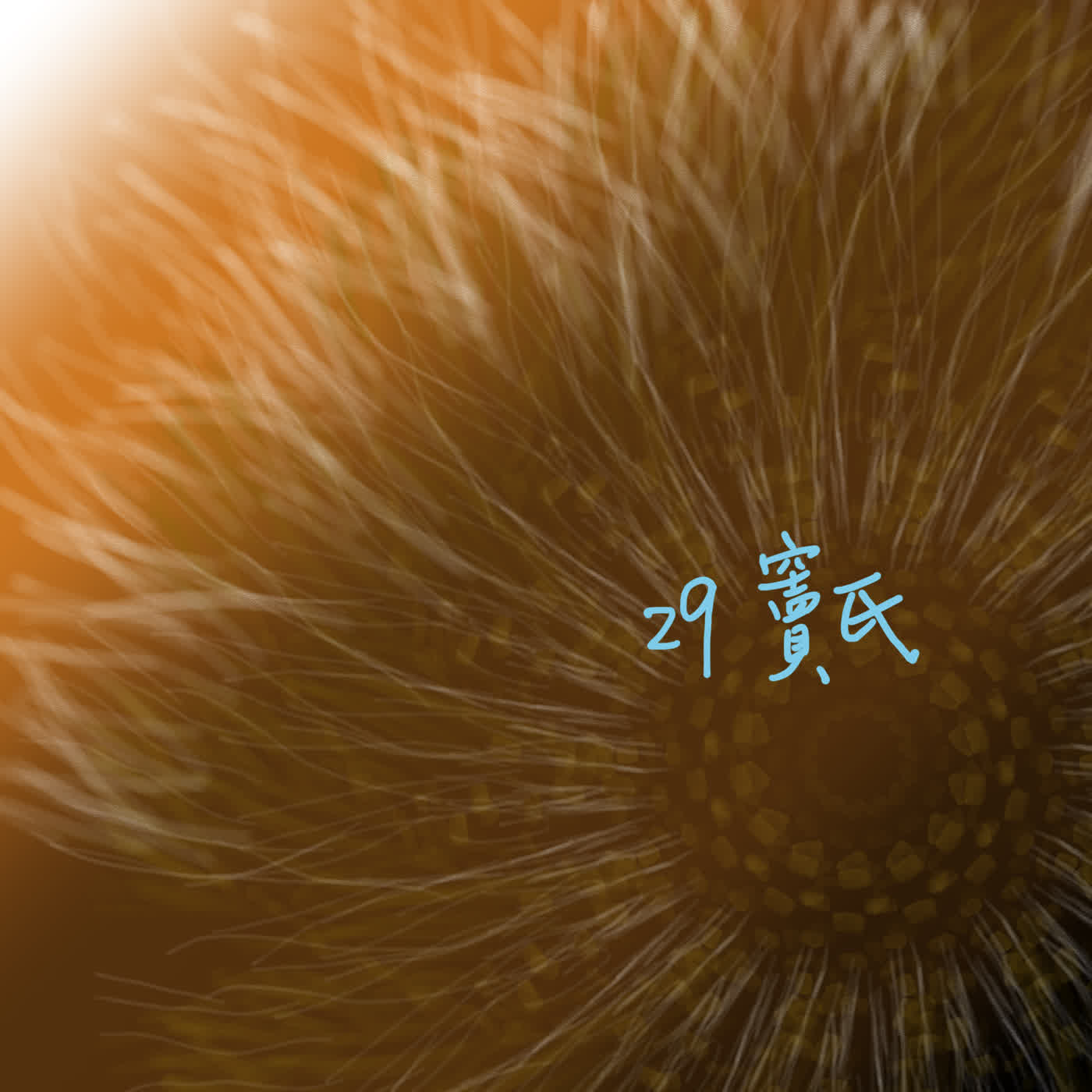 EP29聊齋誌異__竇氏