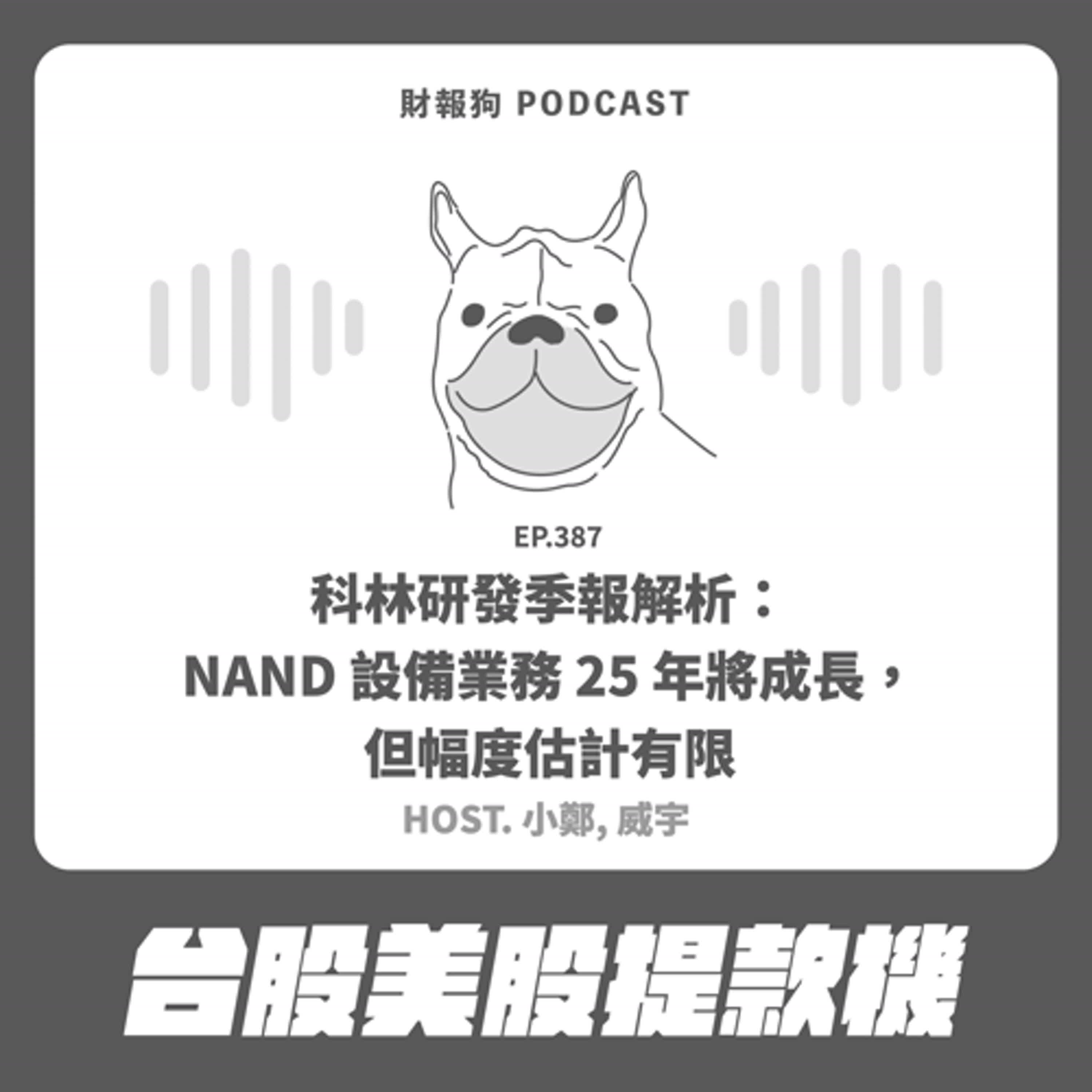 387.【台股美股提款機】科林研發季報解析：NAND 設備業務 25 年將成長，但幅度估計有限