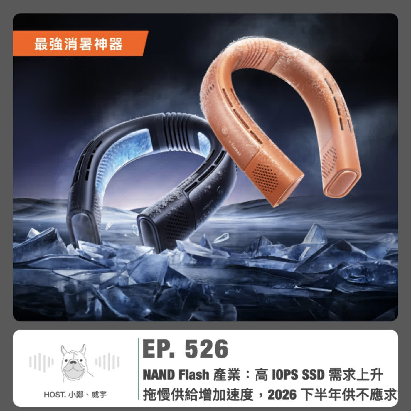 526.【台股美股提款機】NAND Flash 產業:高 IOPS SSD 需求上升拖慢供給增加速度,2026 下半年供不應求加劇 Episode cover