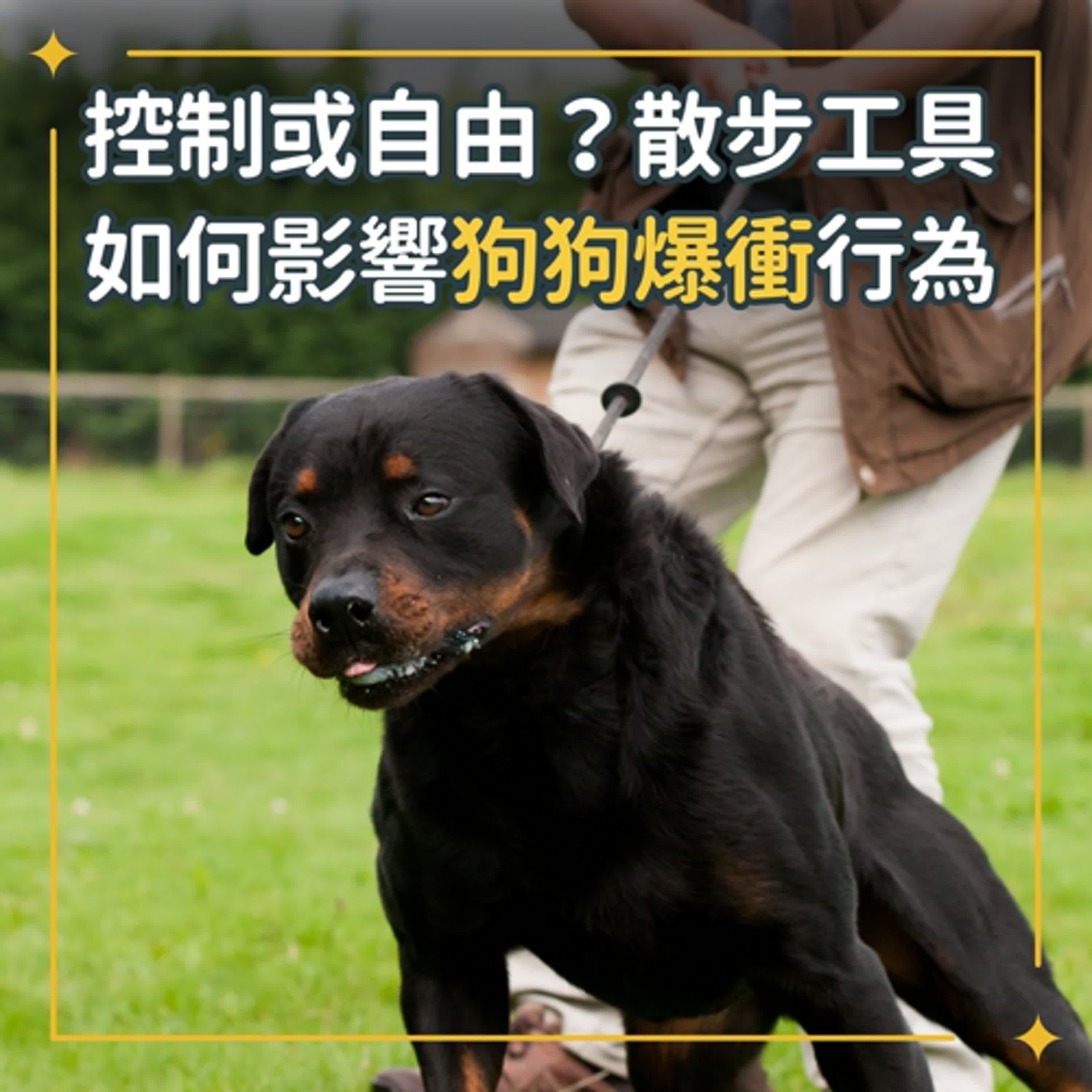 狗兒家庭劇場
