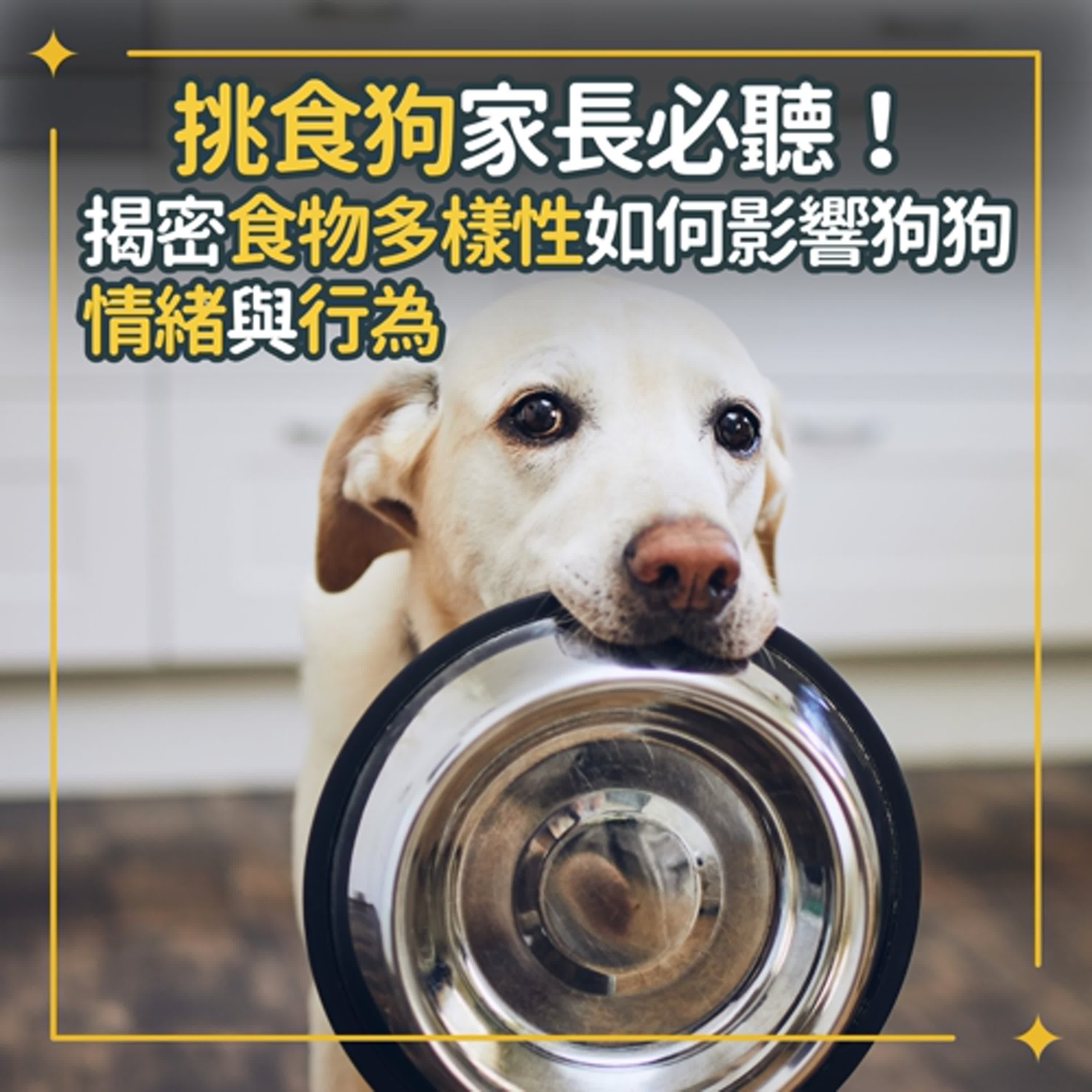 挑食狗家長必聽！揭密食物多樣性如何影響狗狗情緒與行為｜S1Ep133