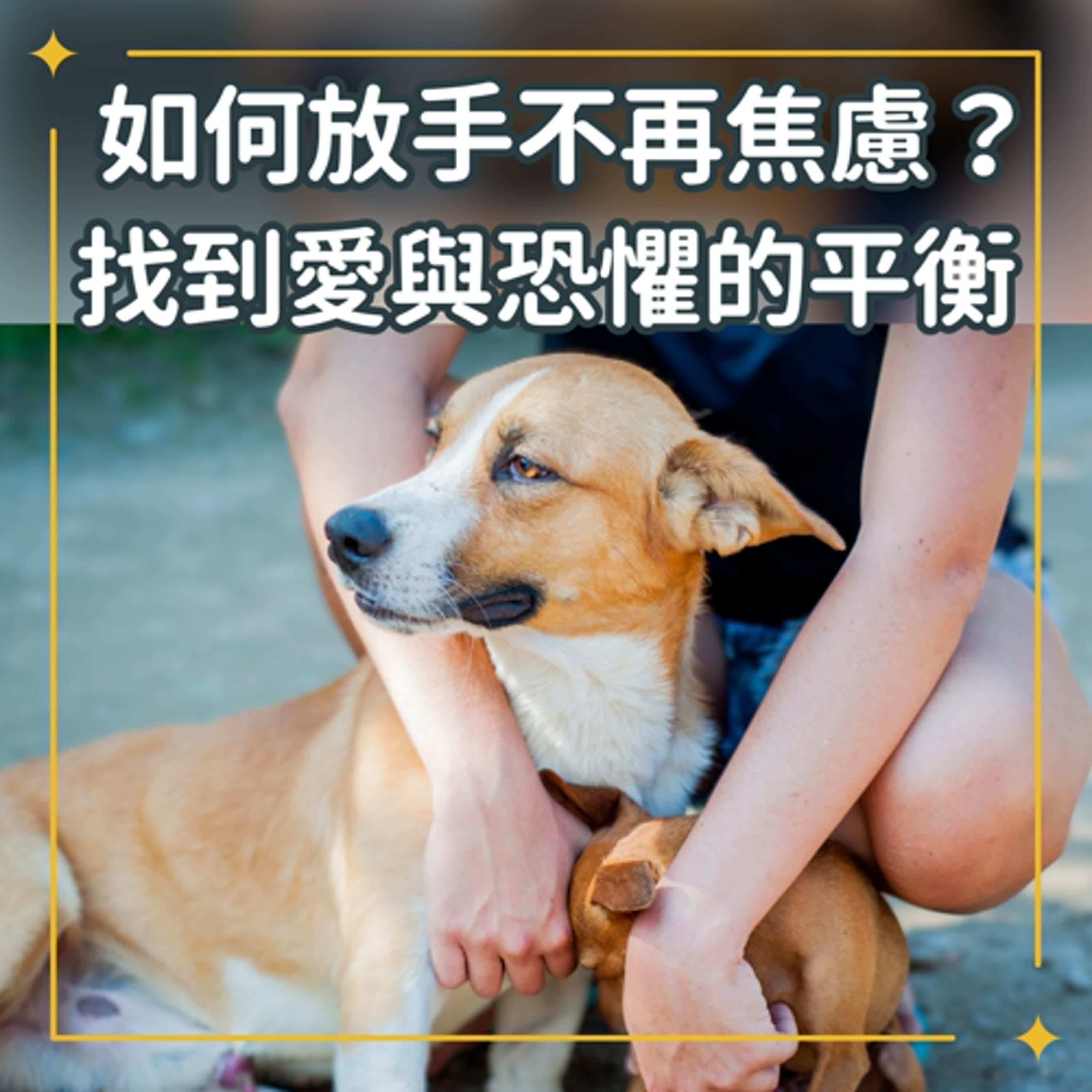 如何放手不再焦慮？從狗狗教養中找到愛與恐懼的平衡 | S1Ep123