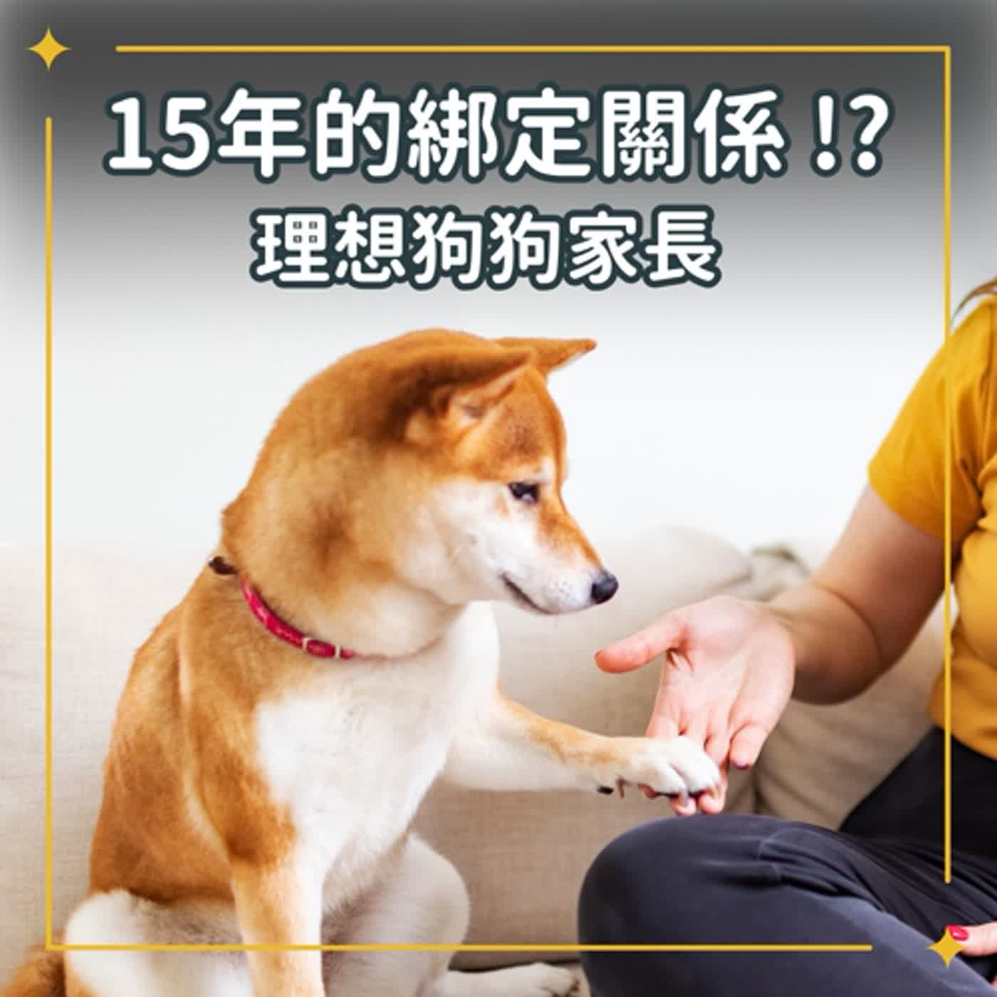狗兒家庭劇場