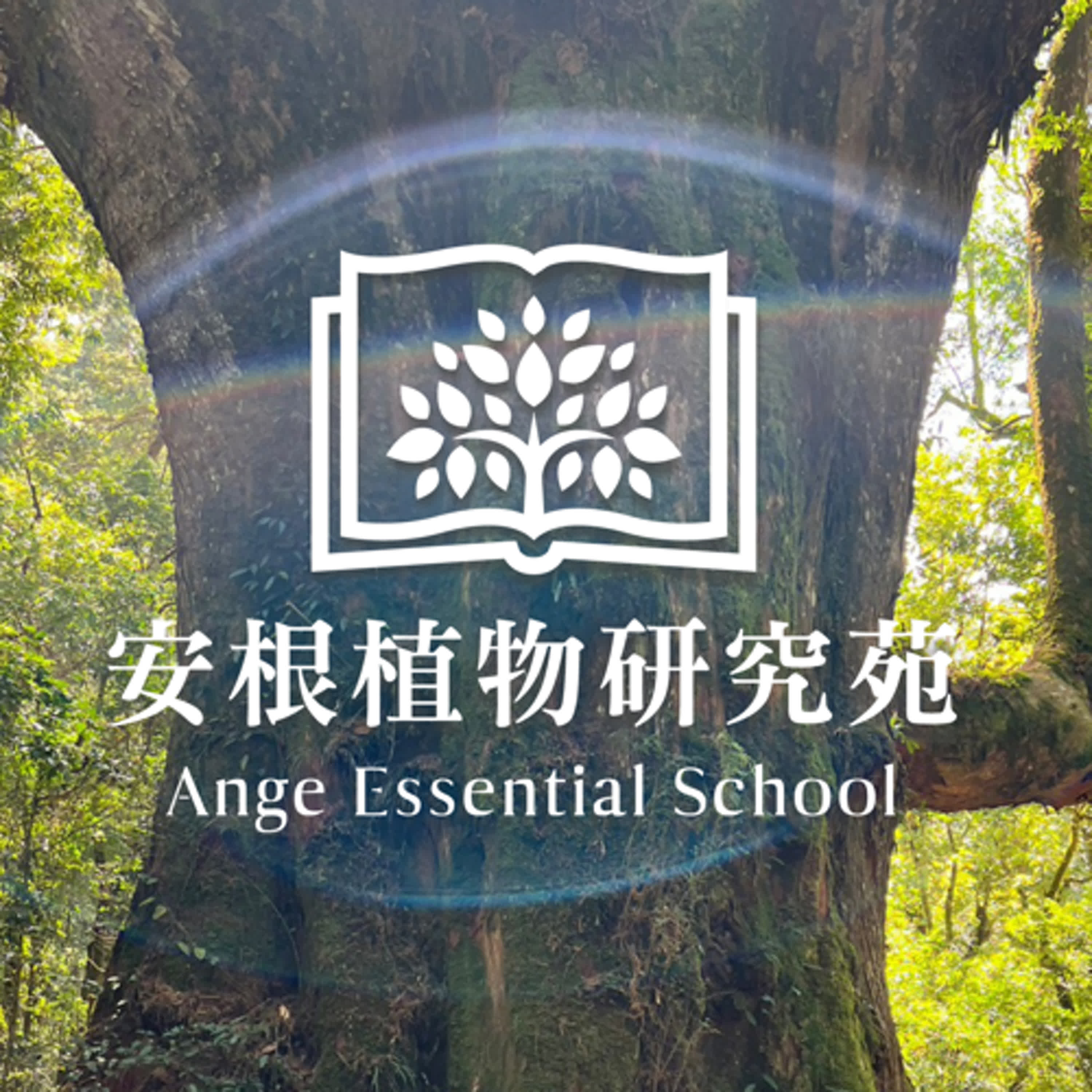 天旋地轉 梅尼爾氏症
