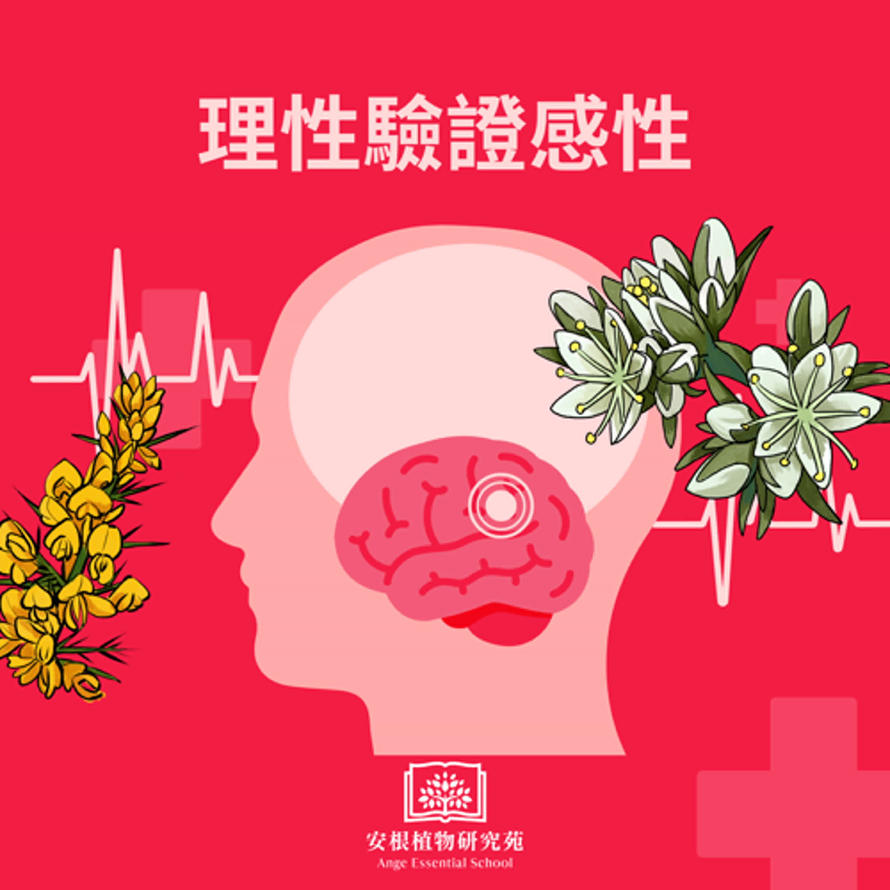 用腦的理性驗證心的感性