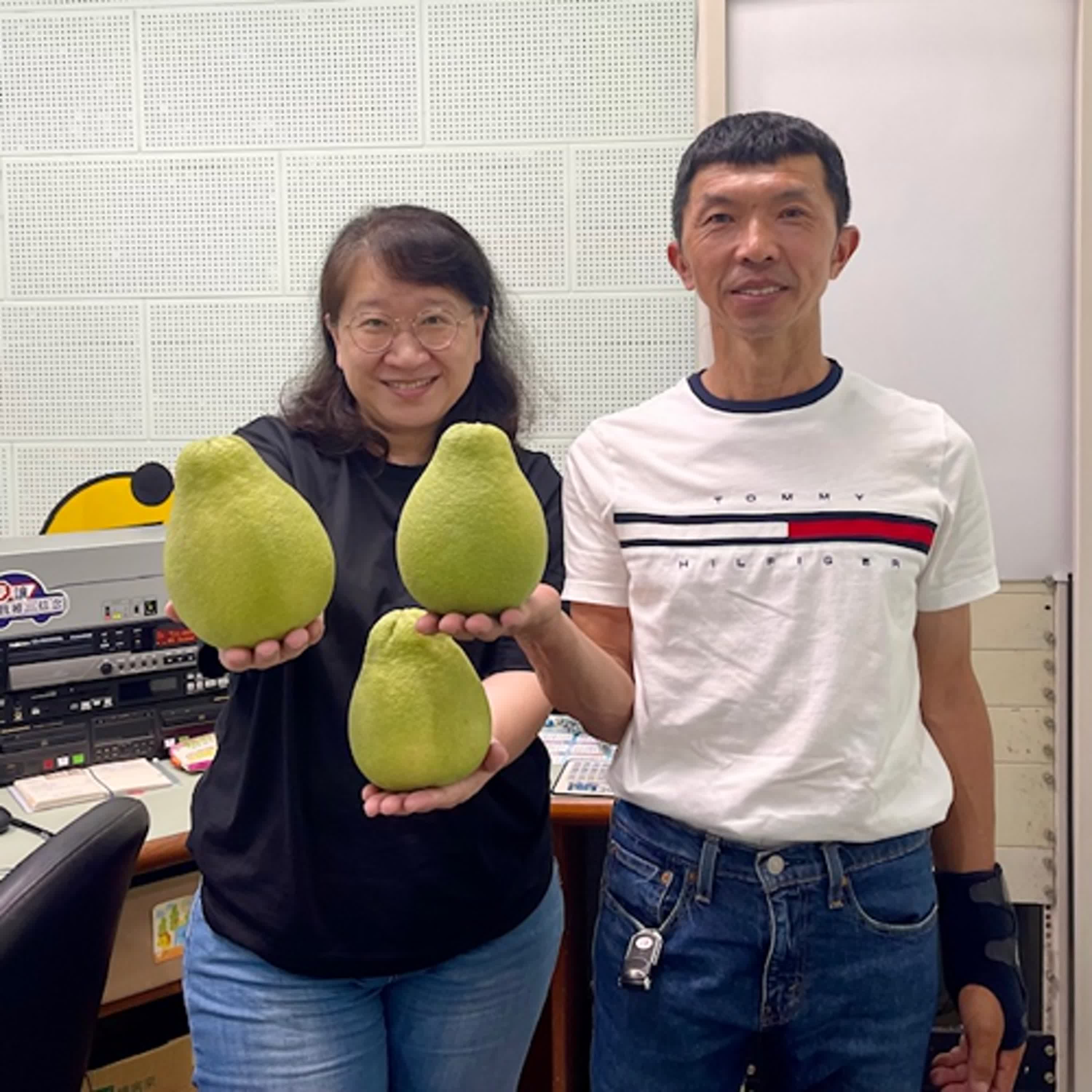 【麻豆微酸甜】批發市場最夯供應商 麻豆文旦產銷班陳有信班長推動產銷履歷讓文旦好品質被看見