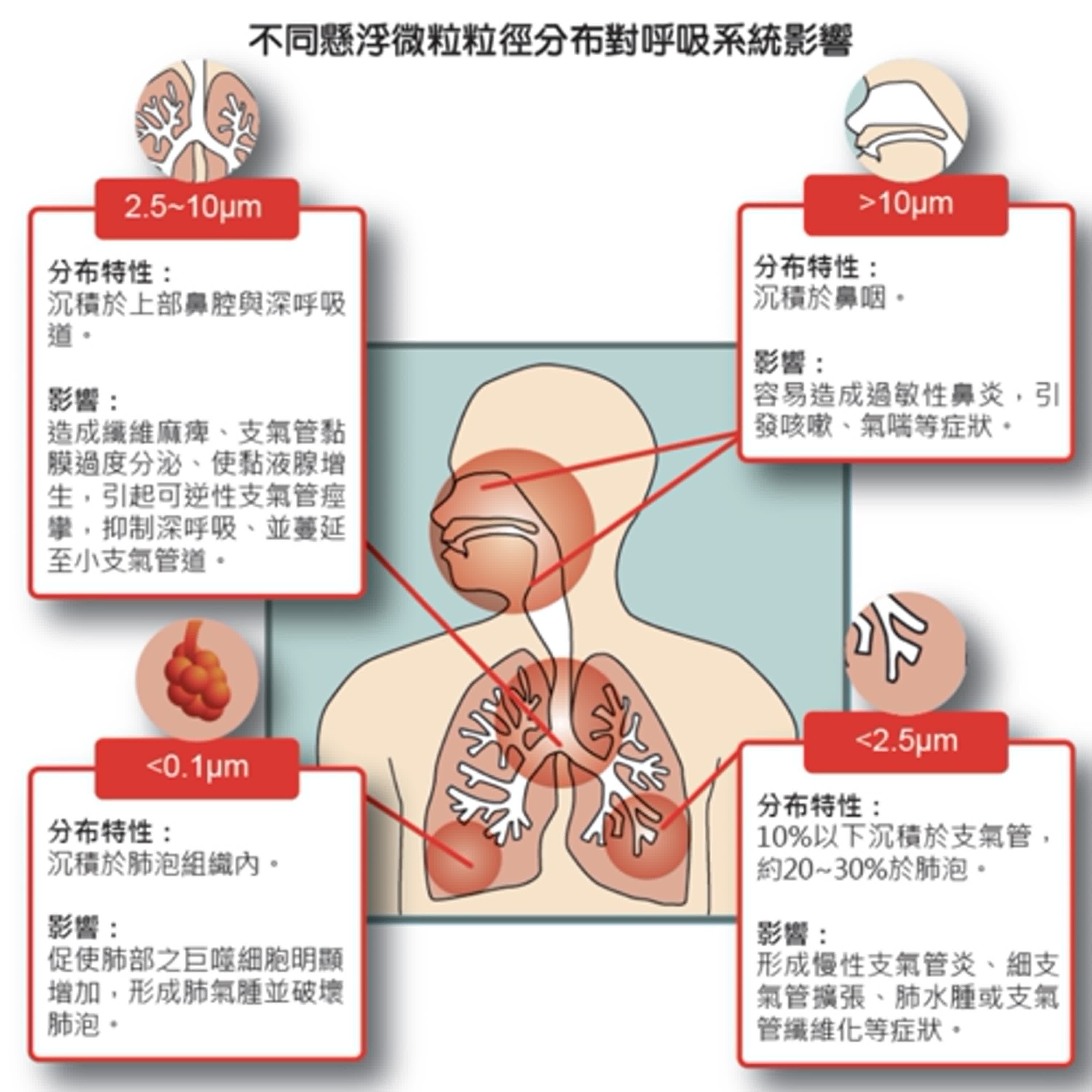 【健康小百科】防霾靠自己 認識PM2.5與防範保健康