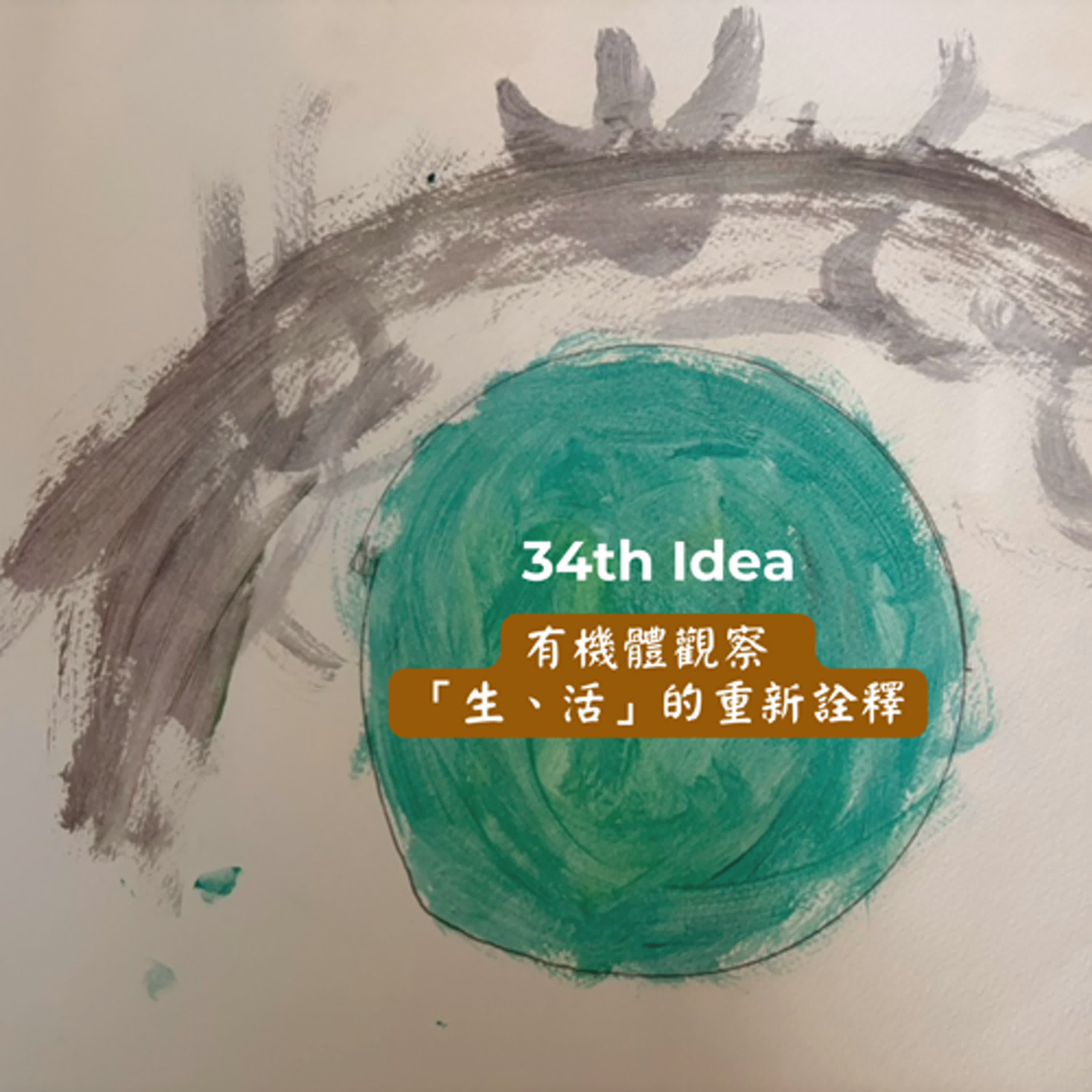 The 34th Idea: 有機體觀察 「生、活」的重新詮釋 episode artwork