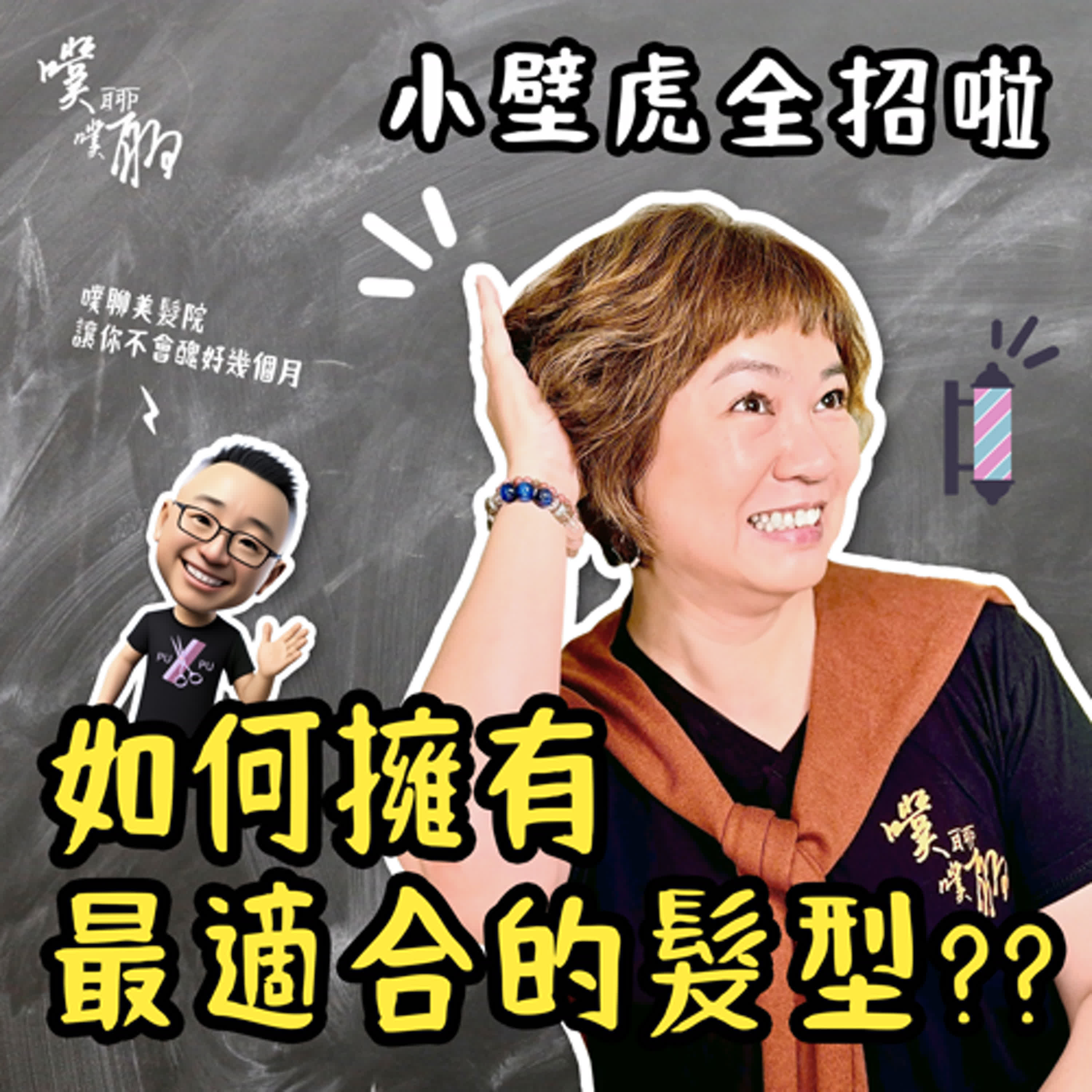 小壁虎全招啦：如何擁有最適合的髮型？ episode artwork